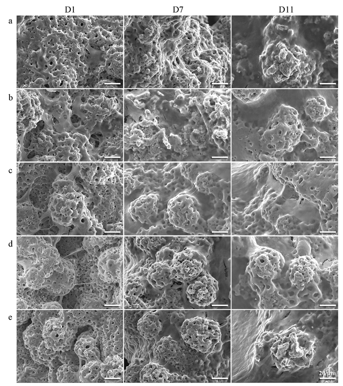 Ijms 23 09204 g012 550