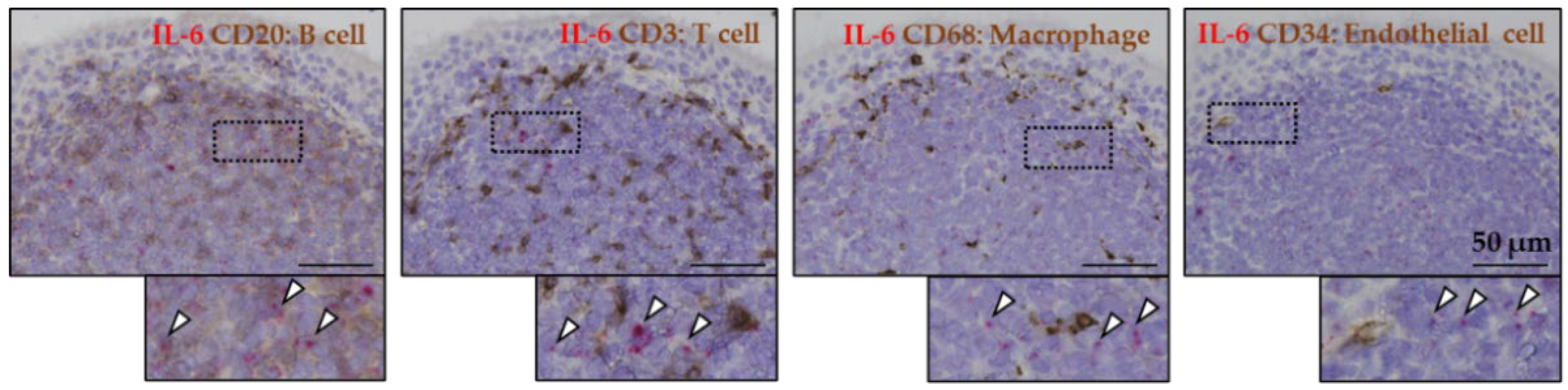 Ijms 23 09205 g002 550