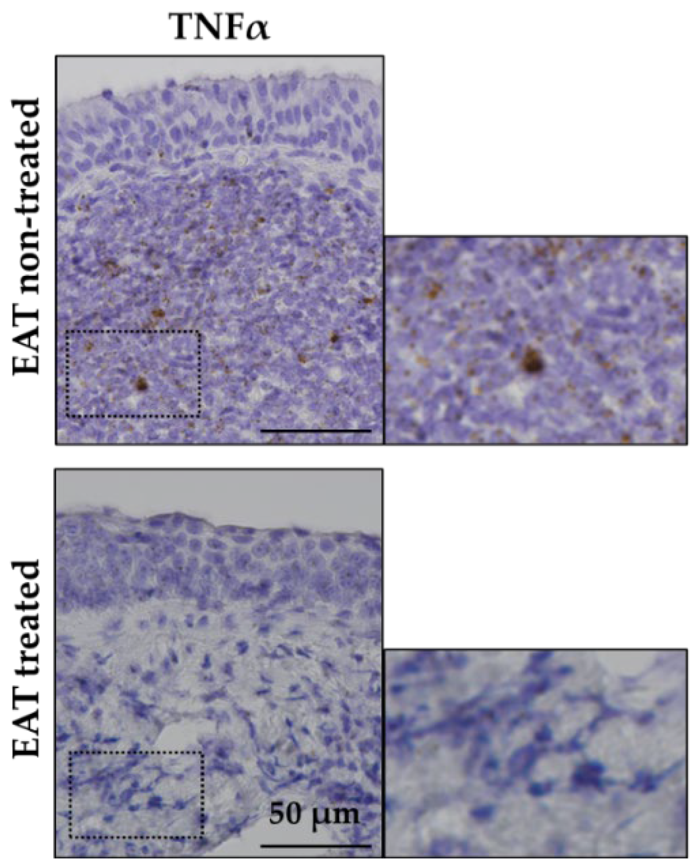 Ijms 23 09205 g004 550