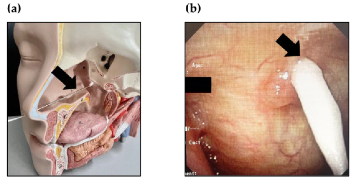 Ijms 23 09205 g005 550