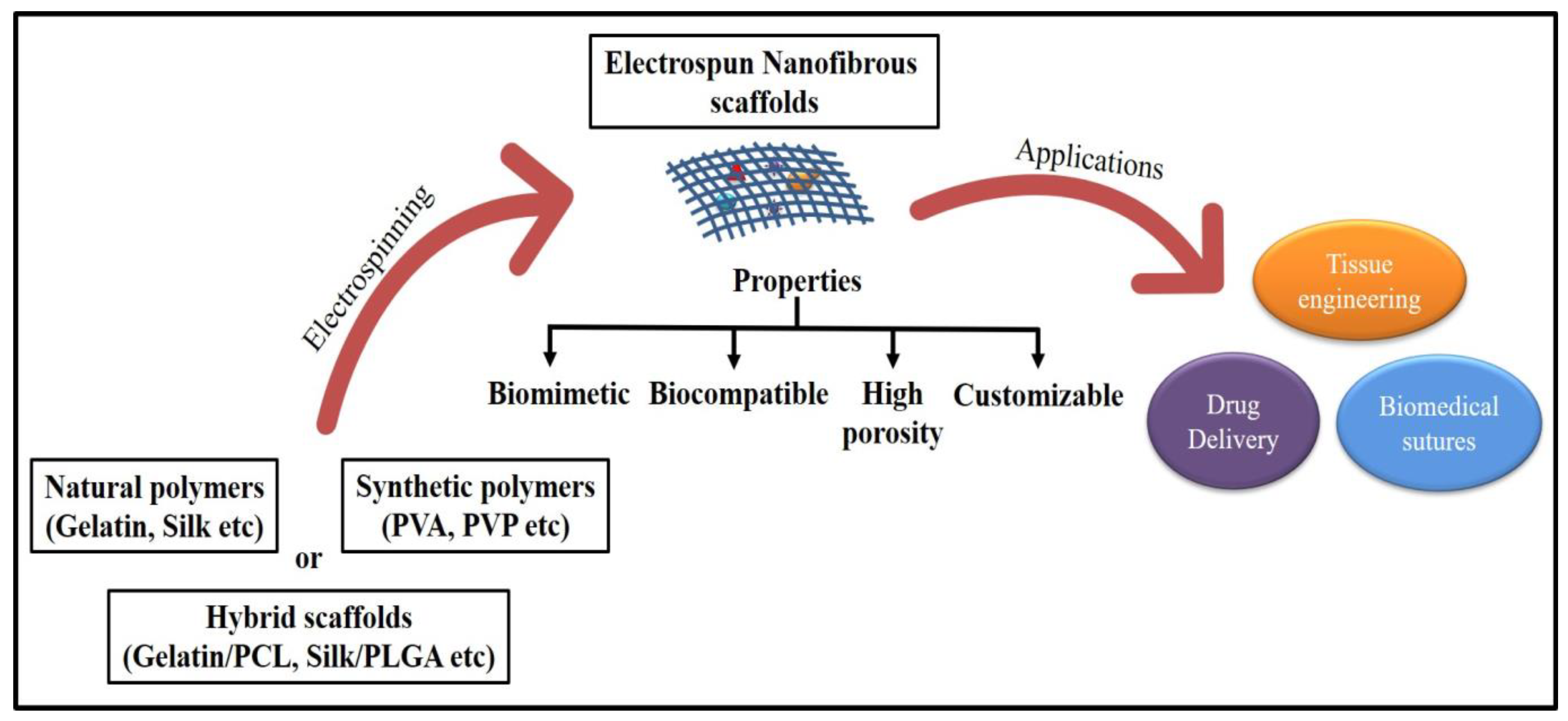 Ijms 23 09206 g002 550