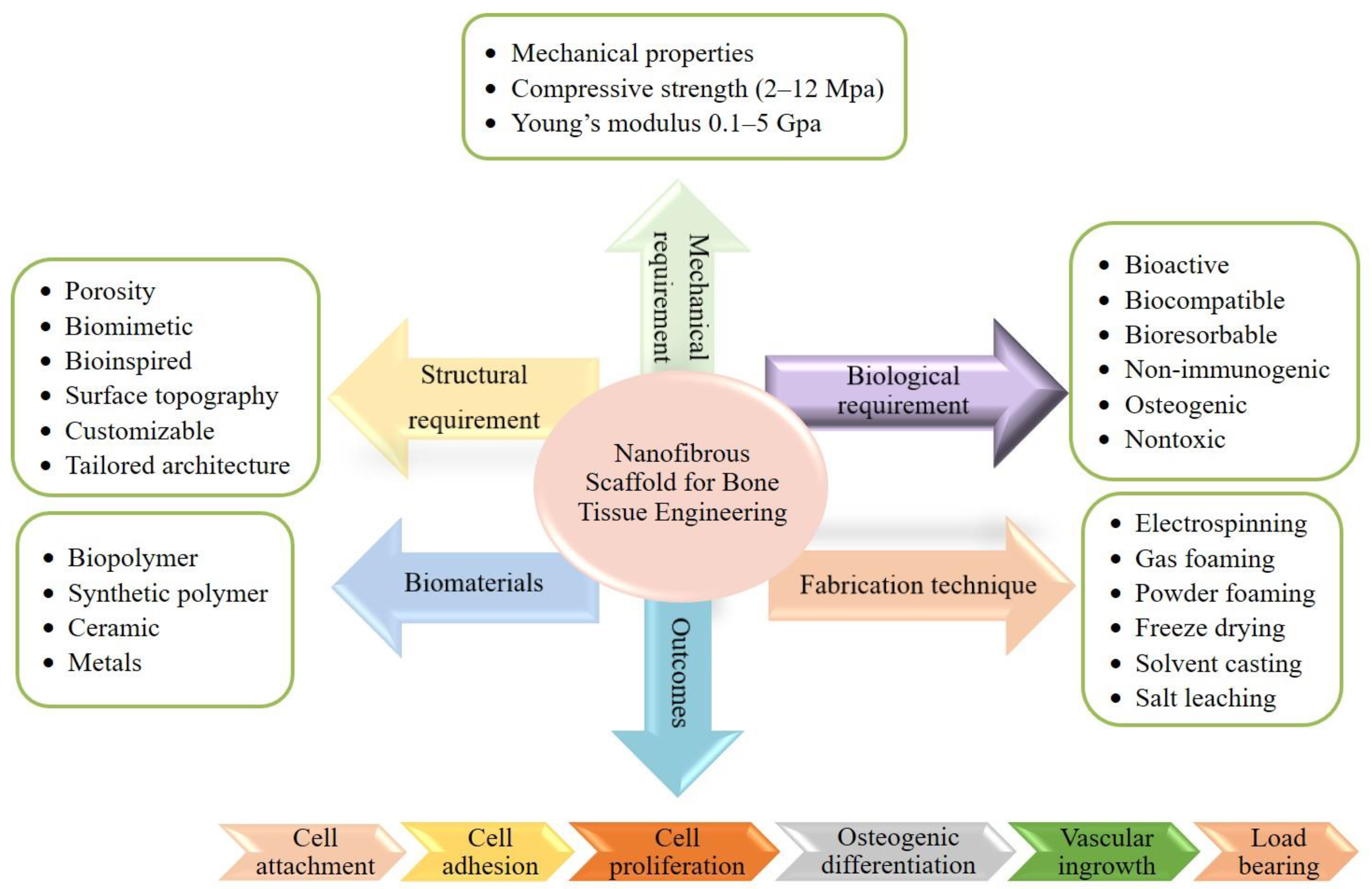 Ijms 23 09206 g005 550