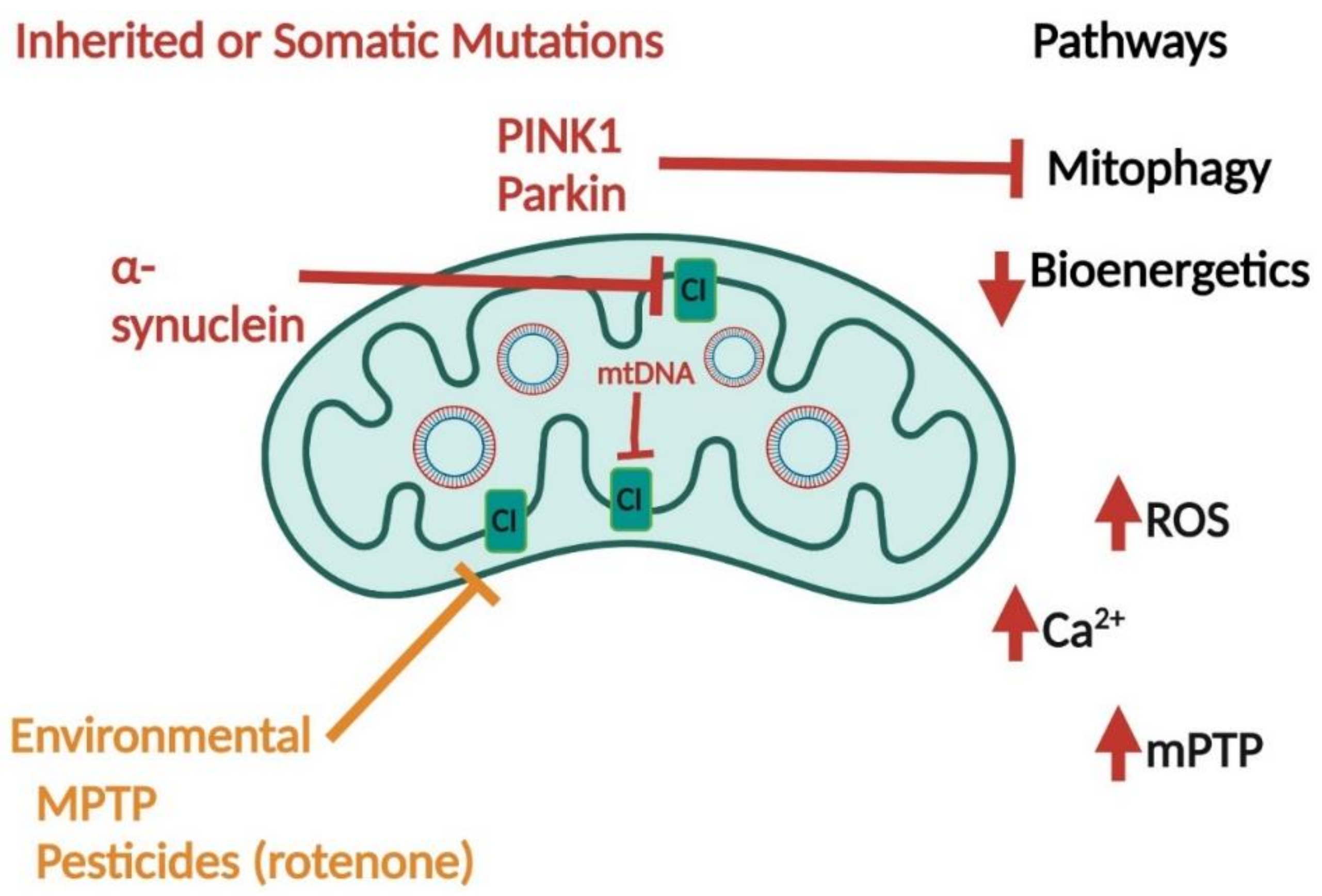 Ijms 23 09212 g003 550
