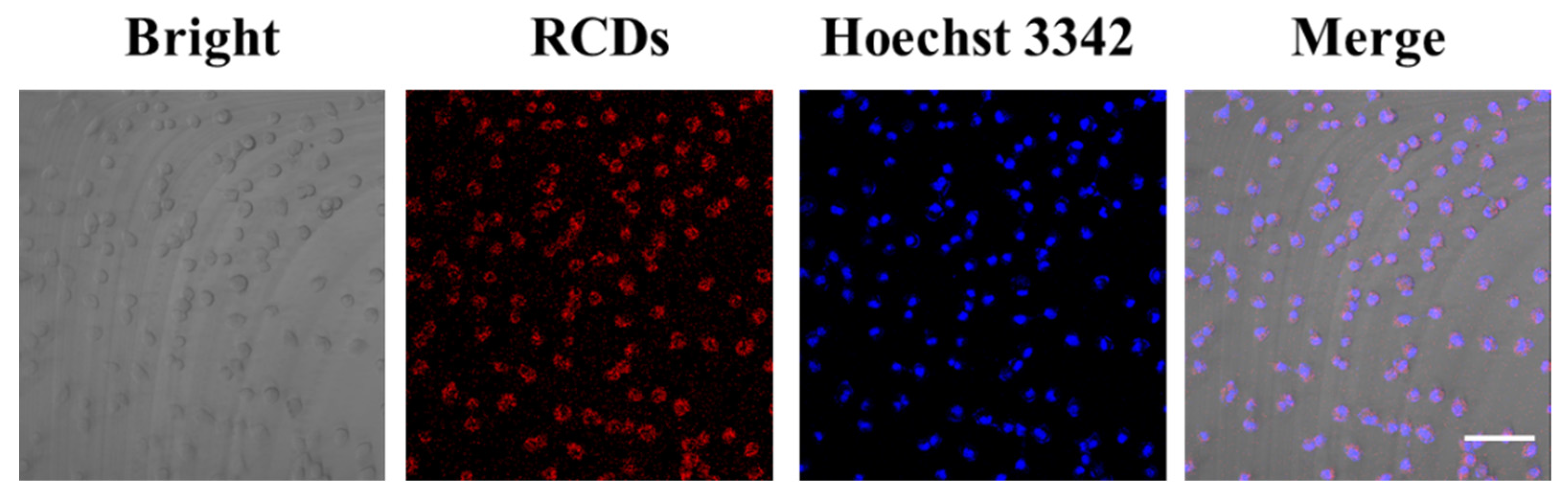 Ijms 23 09213 g009 550