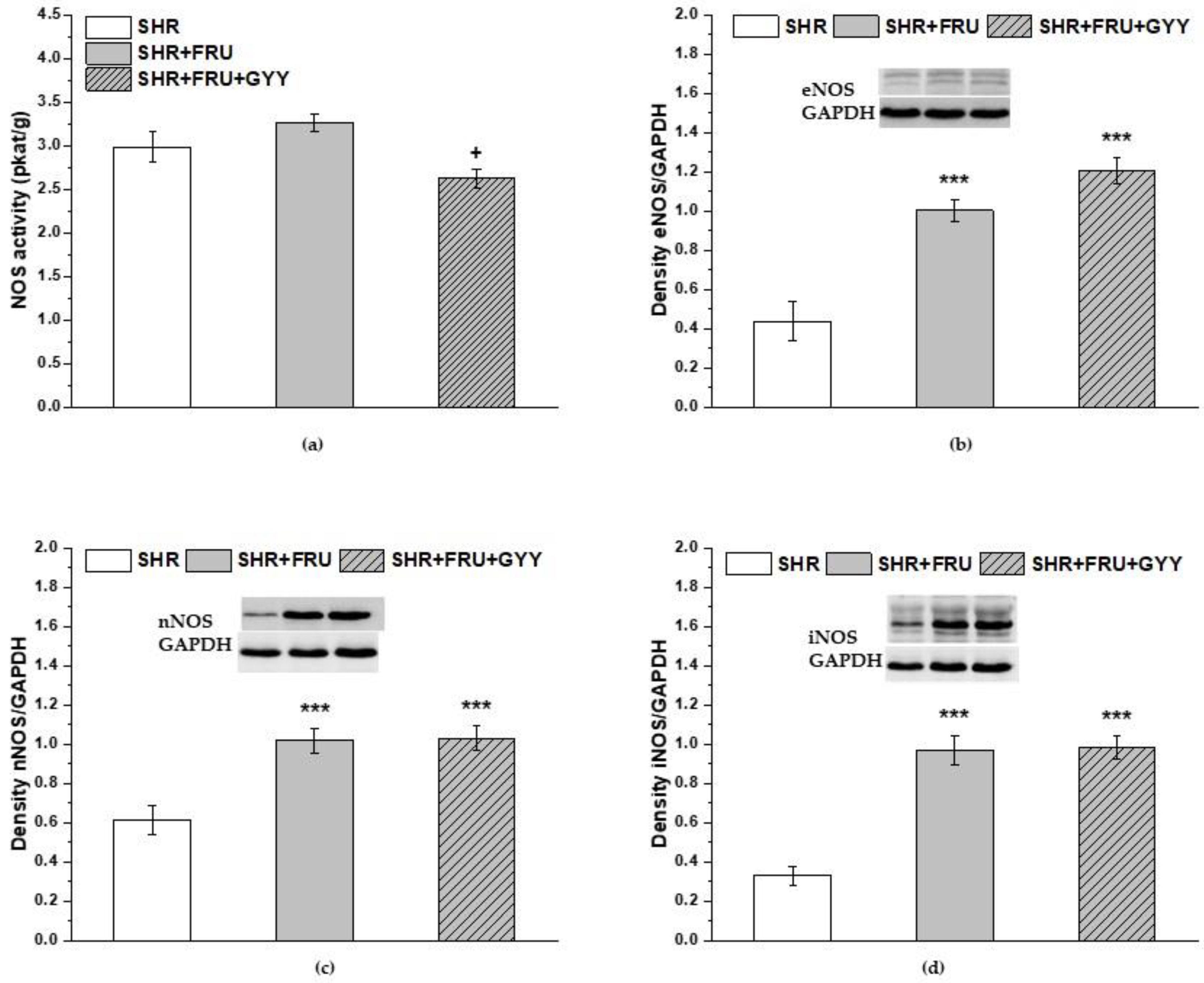 Ijms 23 09215 g007 550