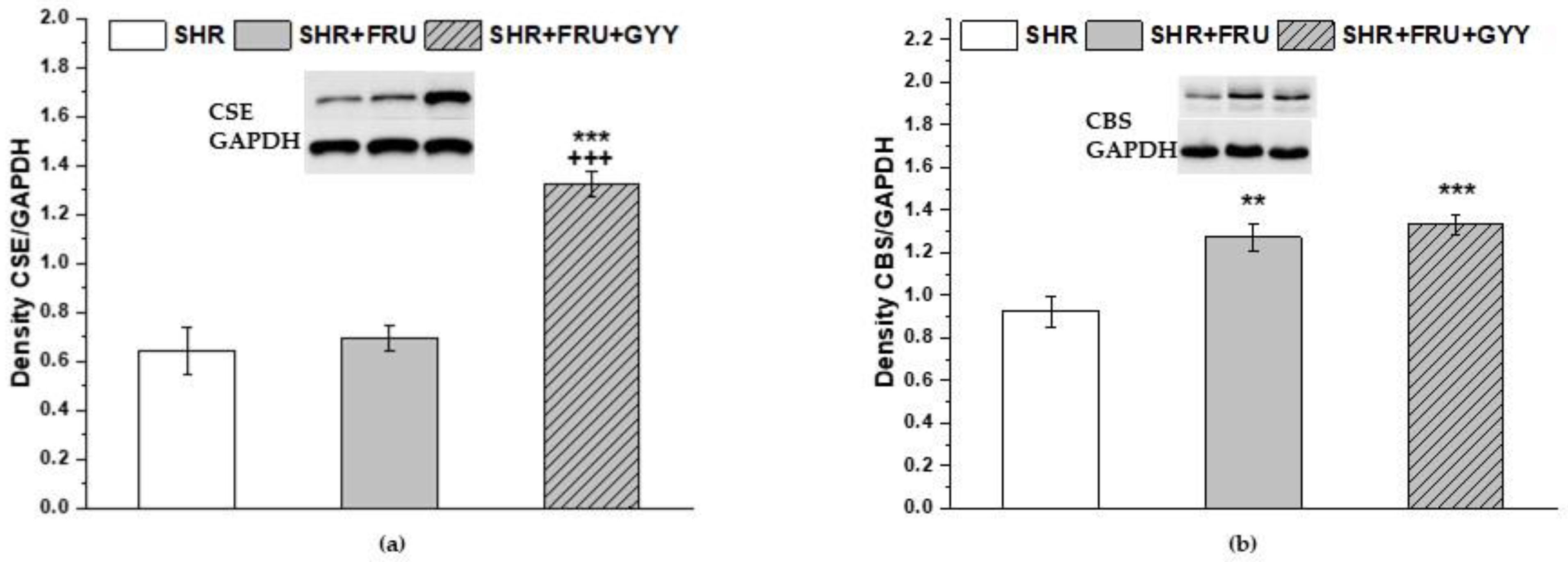 Ijms 23 09215 g011 550