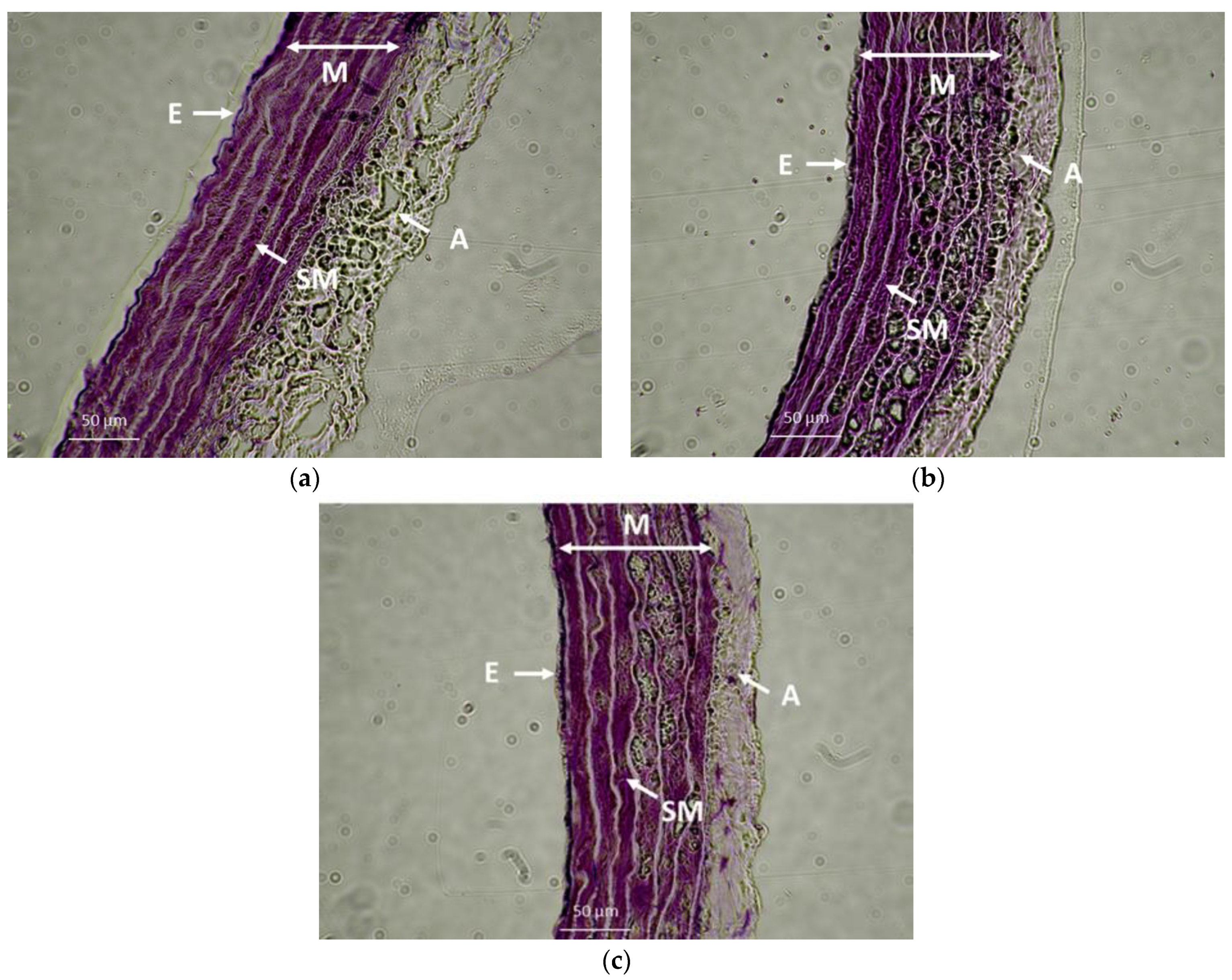 Ijms 23 09215 g012 550