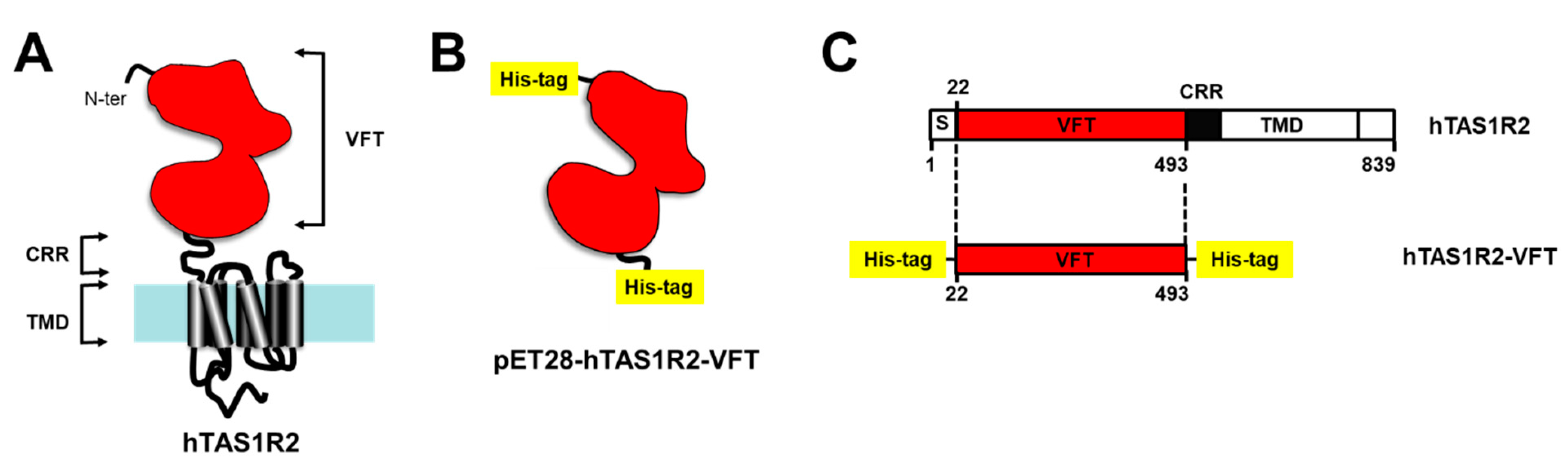 Ijms 23 09216 g001 550