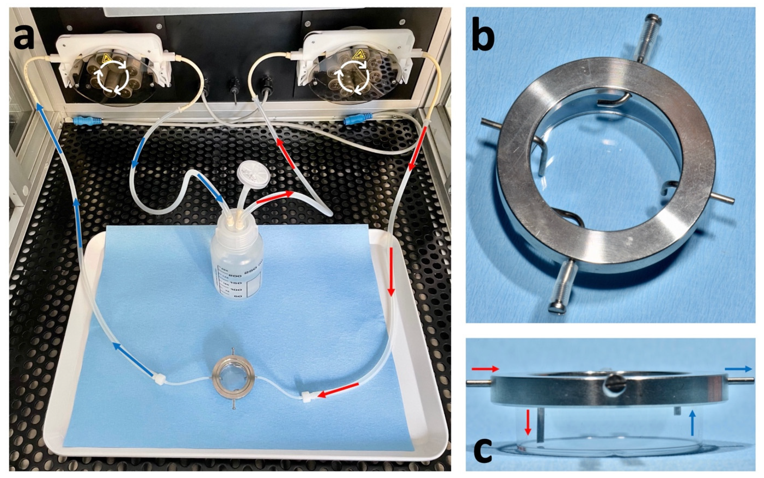 Ijms 23 09220 g007 550