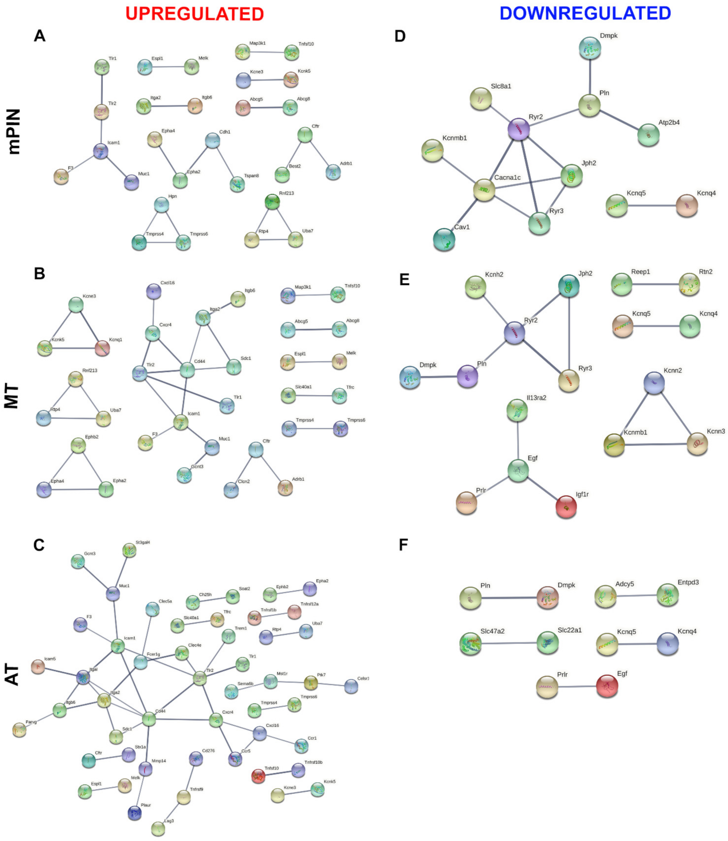 Ijms 23 09224 g004 550