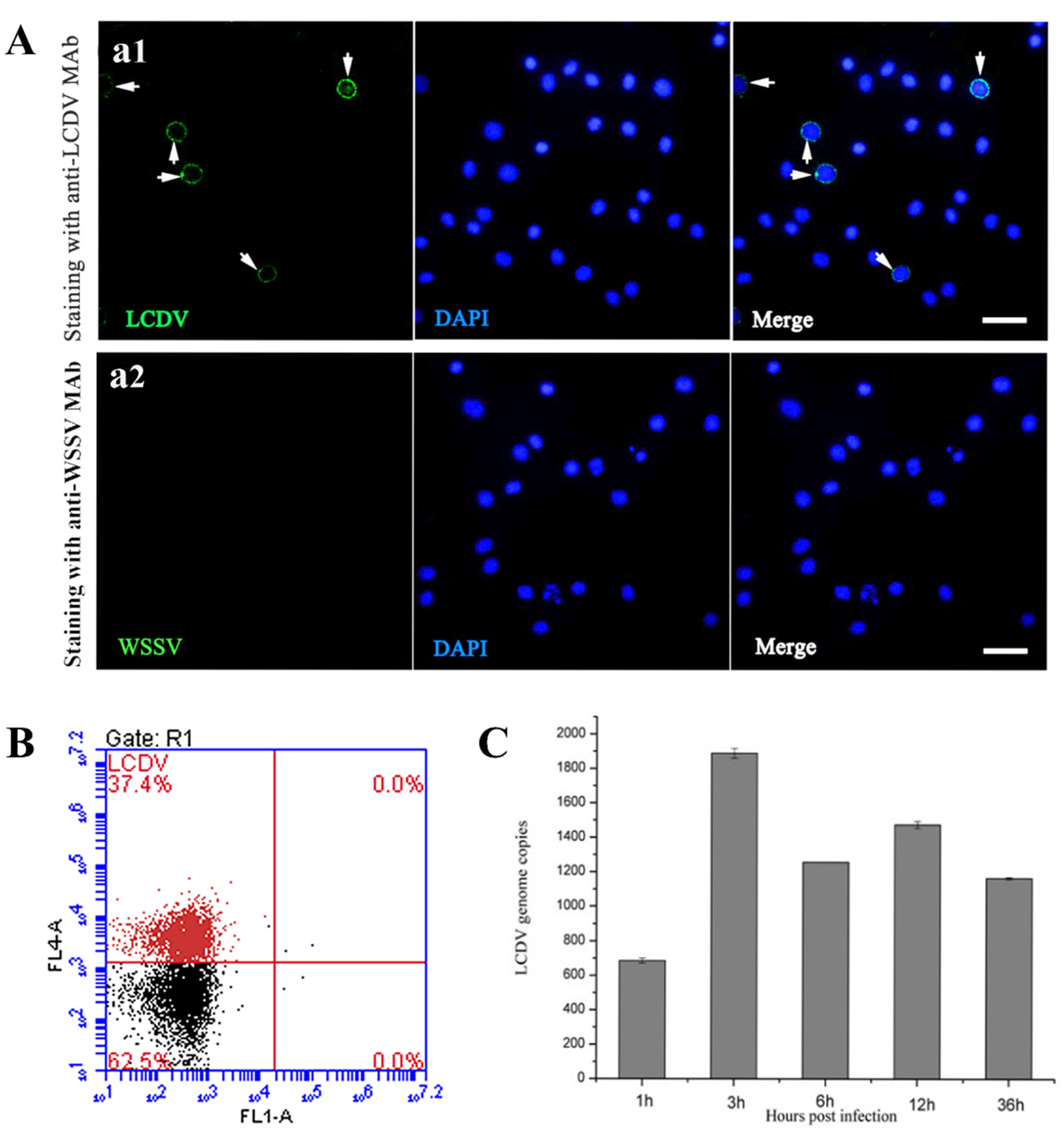 Ijms 23 09225 g001 550