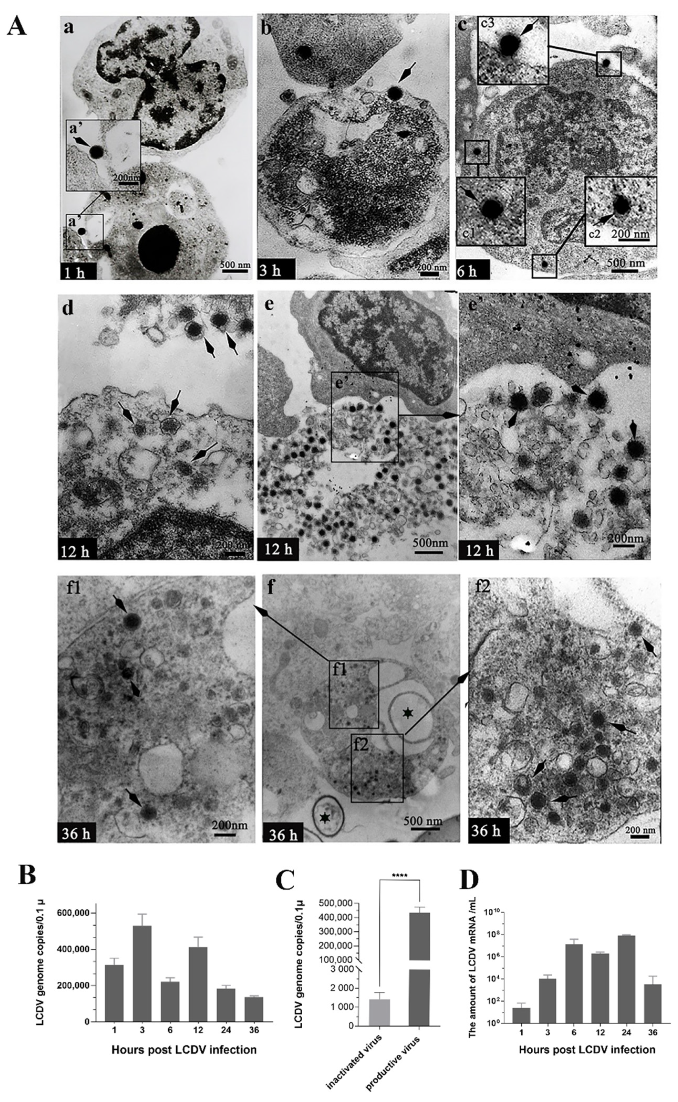 Ijms 23 09225 g002 550