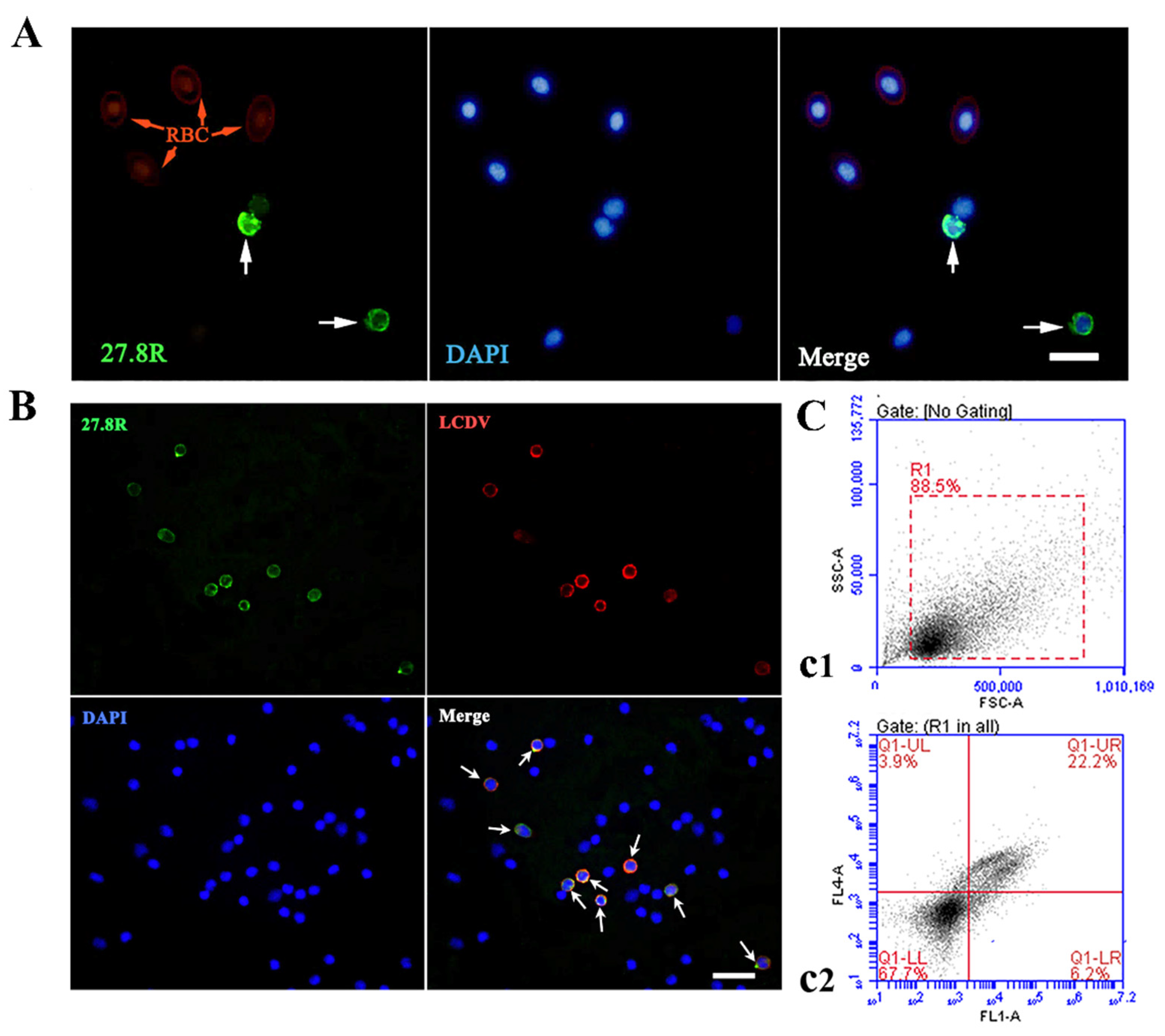 Ijms 23 09225 g003 550