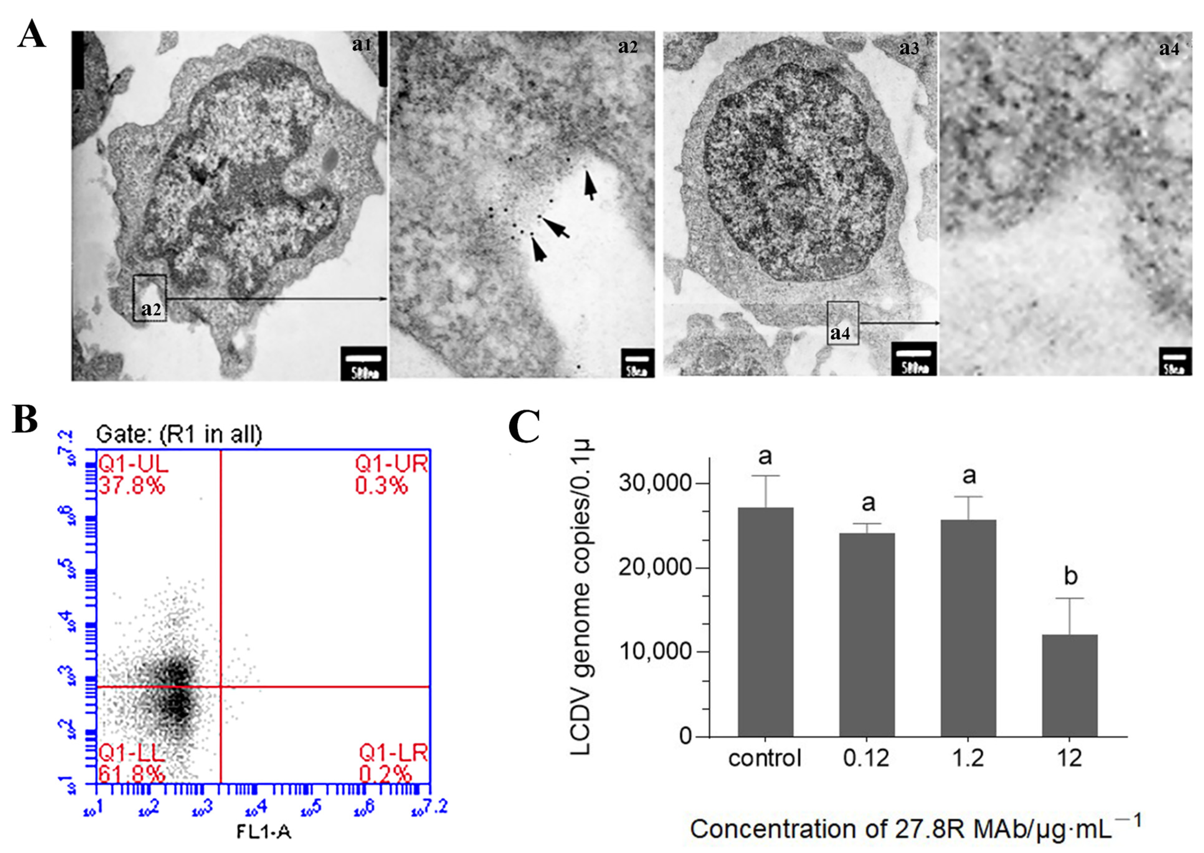 Ijms 23 09225 g004 550