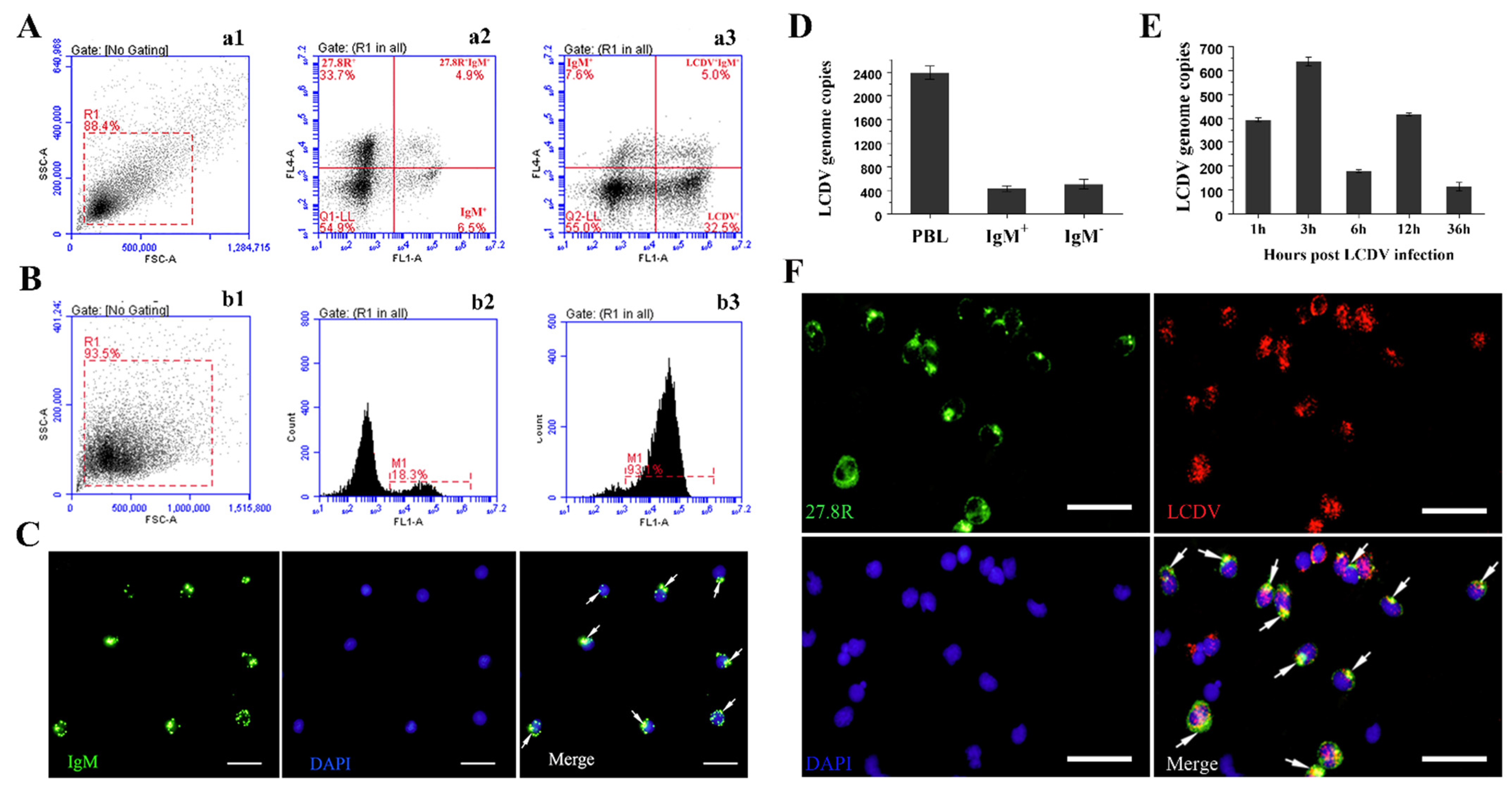 Ijms 23 09225 g006 550