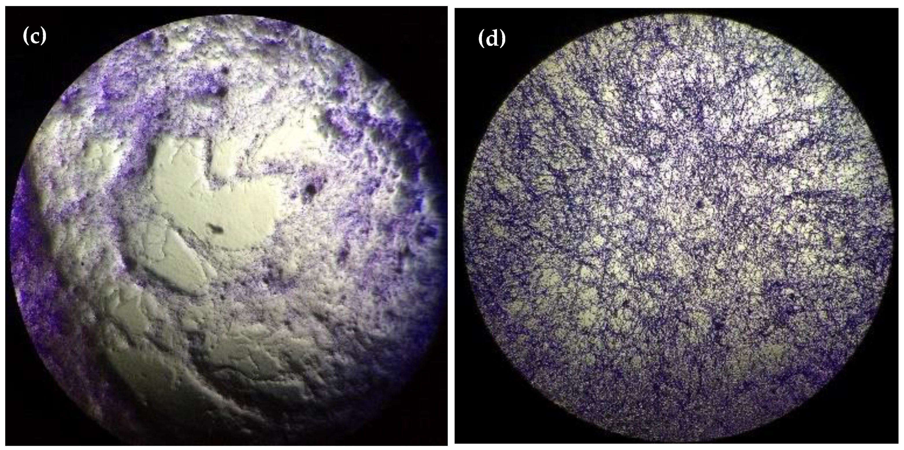 Ijms 23 09226 g003b Ijms 23 09226 g003b