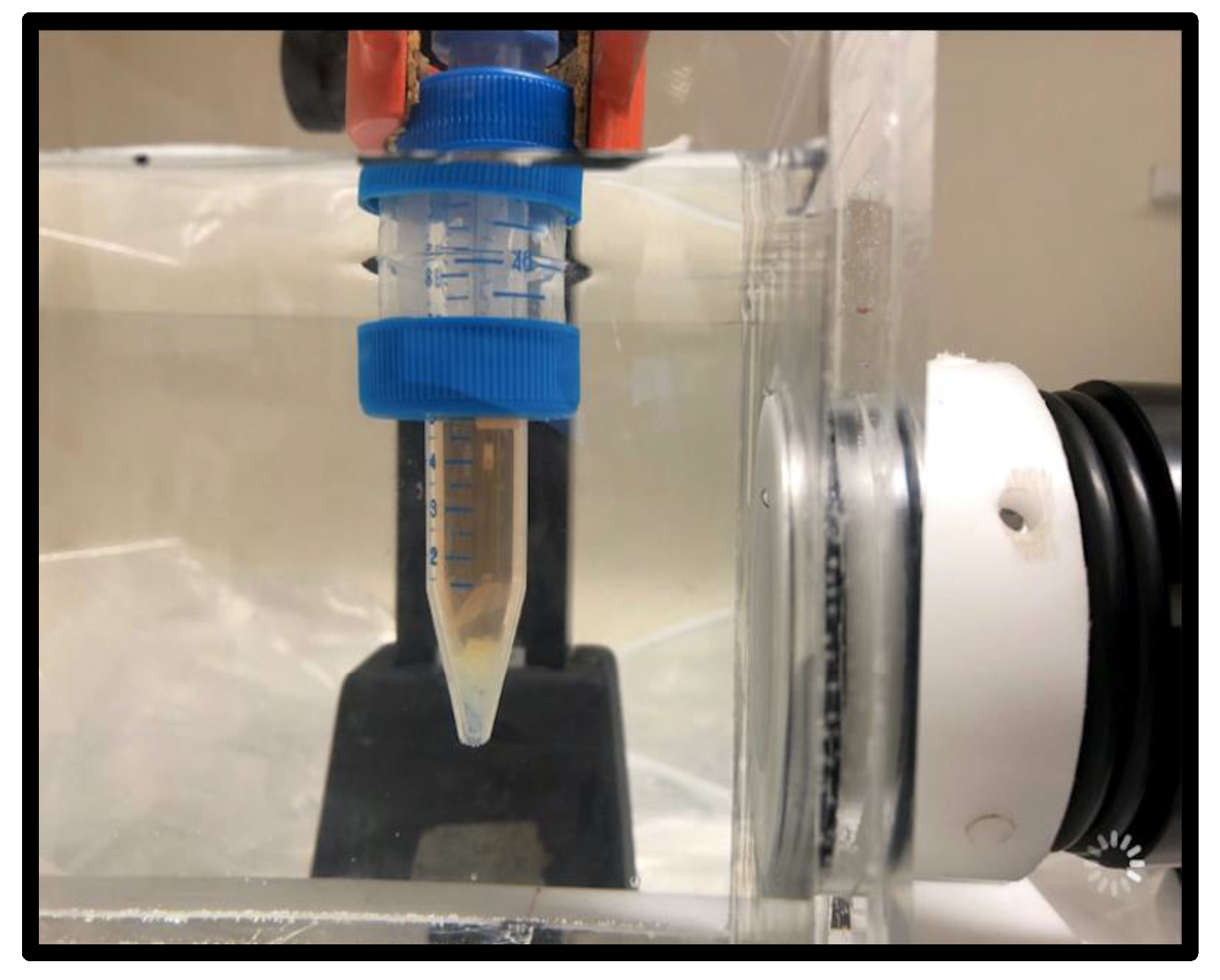 Ijms 23 09226 g008 Ijms 23 09226 g008