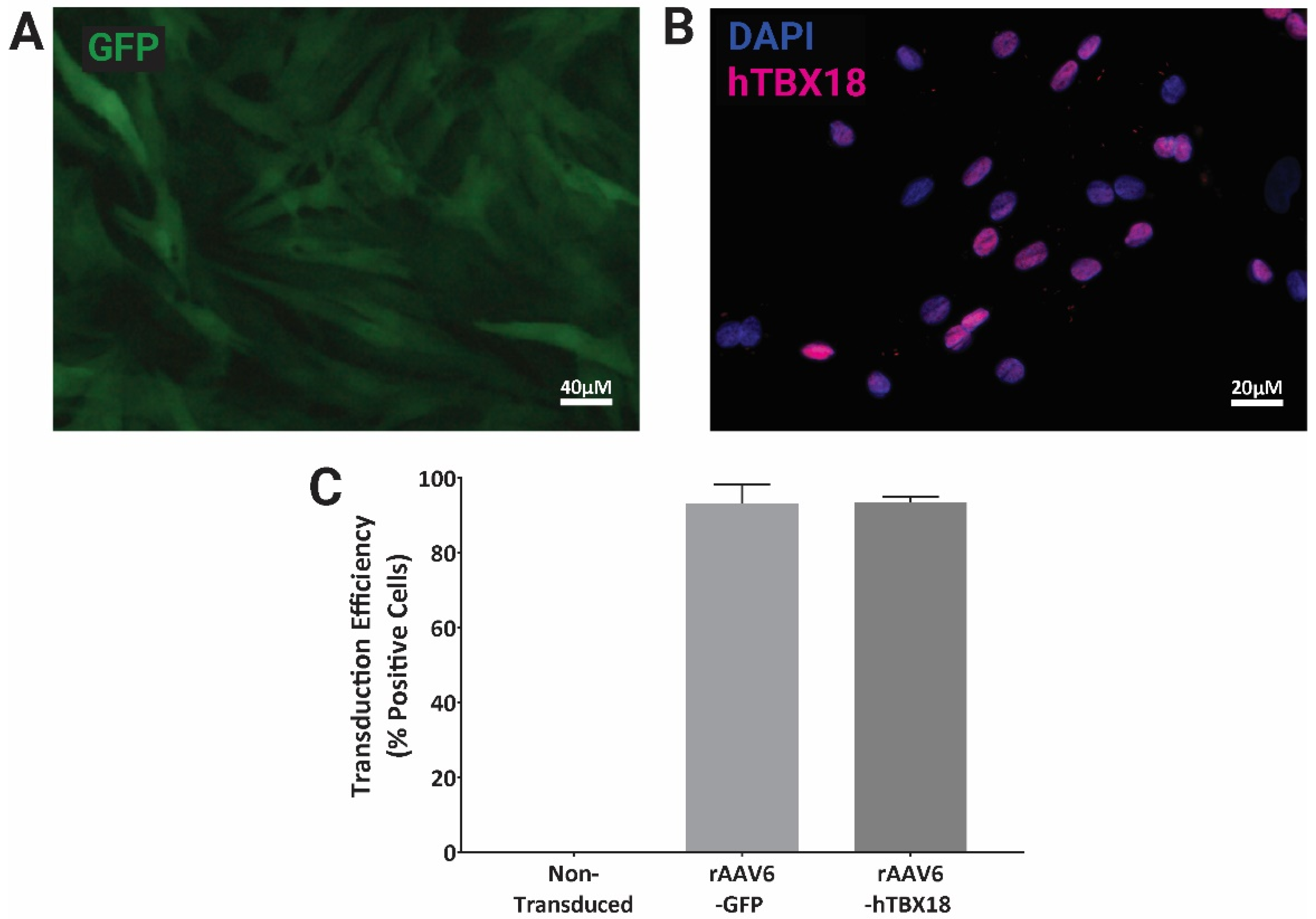 Ijms 23 09230 g001 550