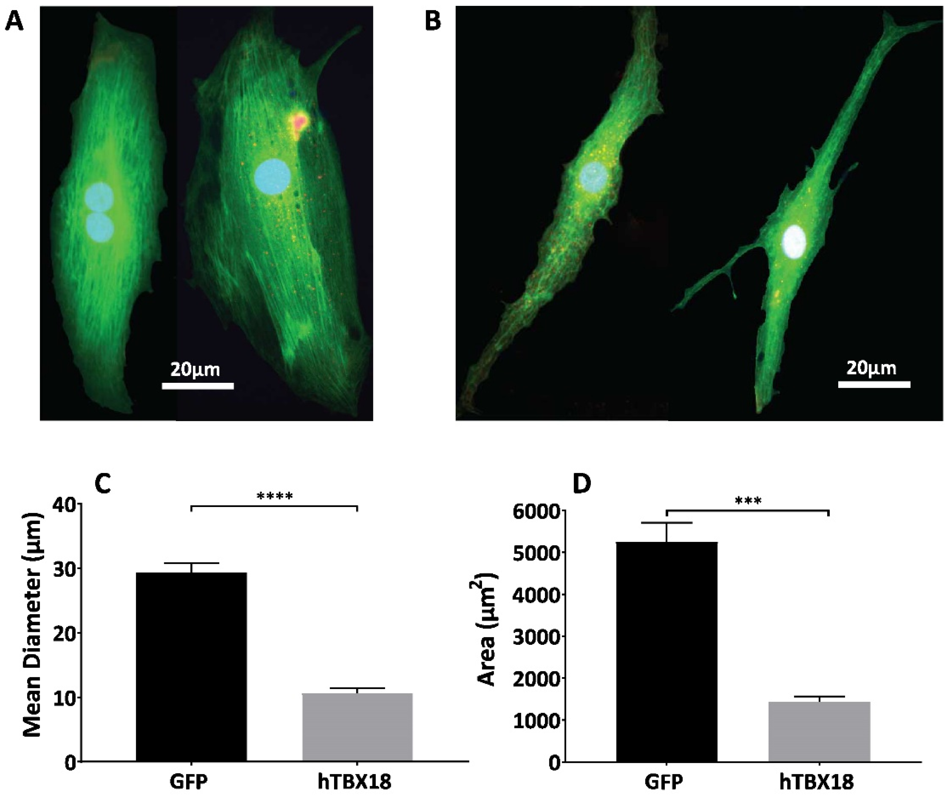 Ijms 23 09230 g005 550