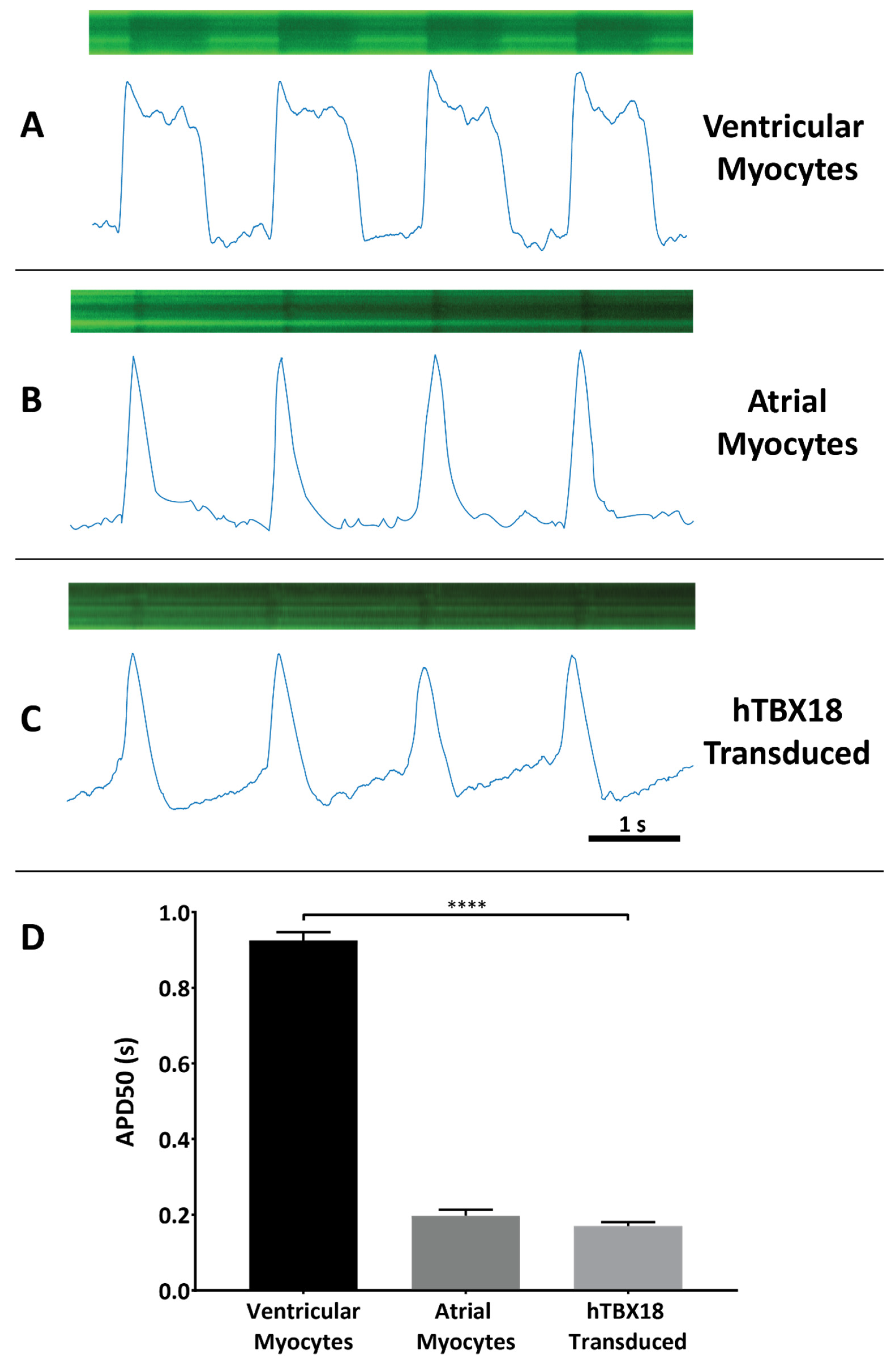 Ijms 23 09230 g006 550