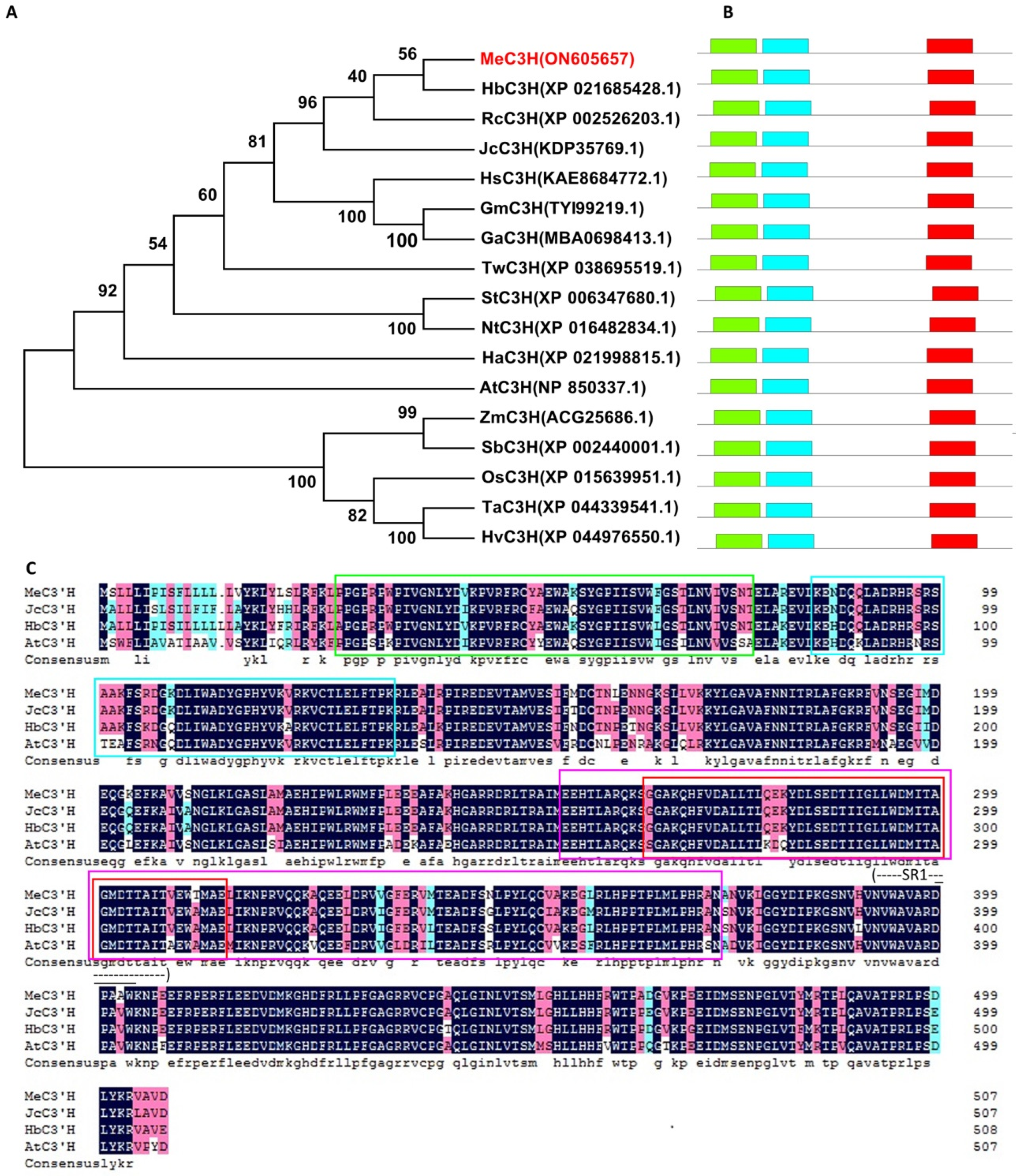Ijms 23 09231 g001 550