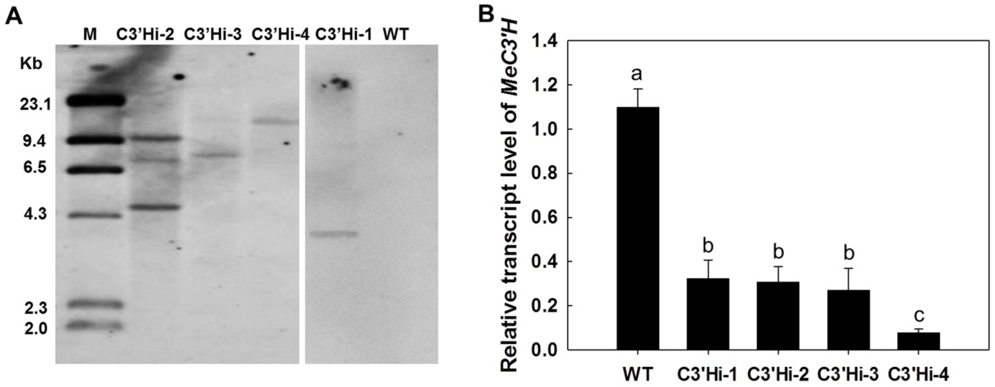 Ijms 23 09231 g003 550