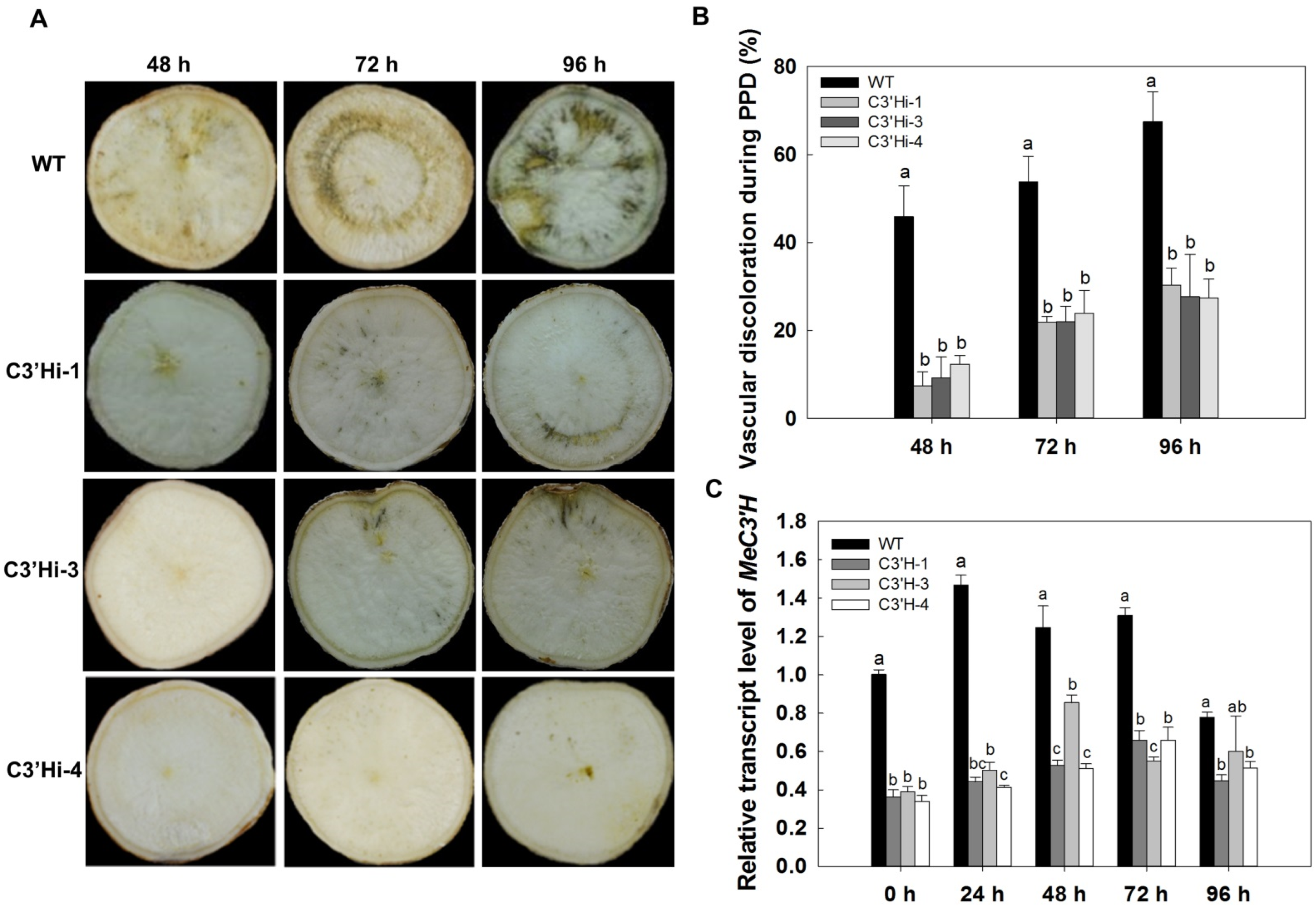 Ijms 23 09231 g005 550