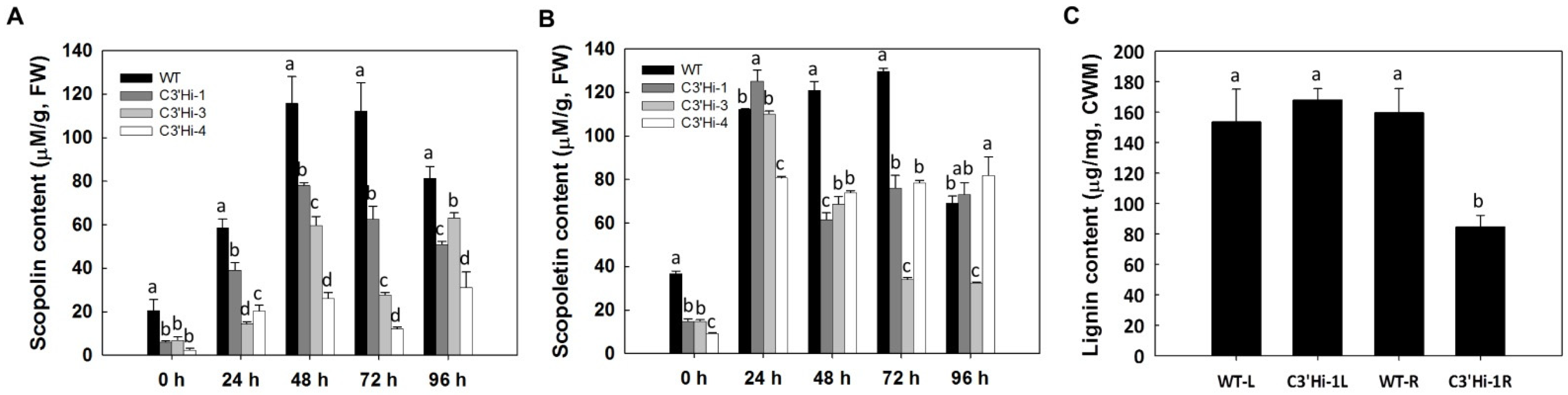 Ijms 23 09231 g006 550