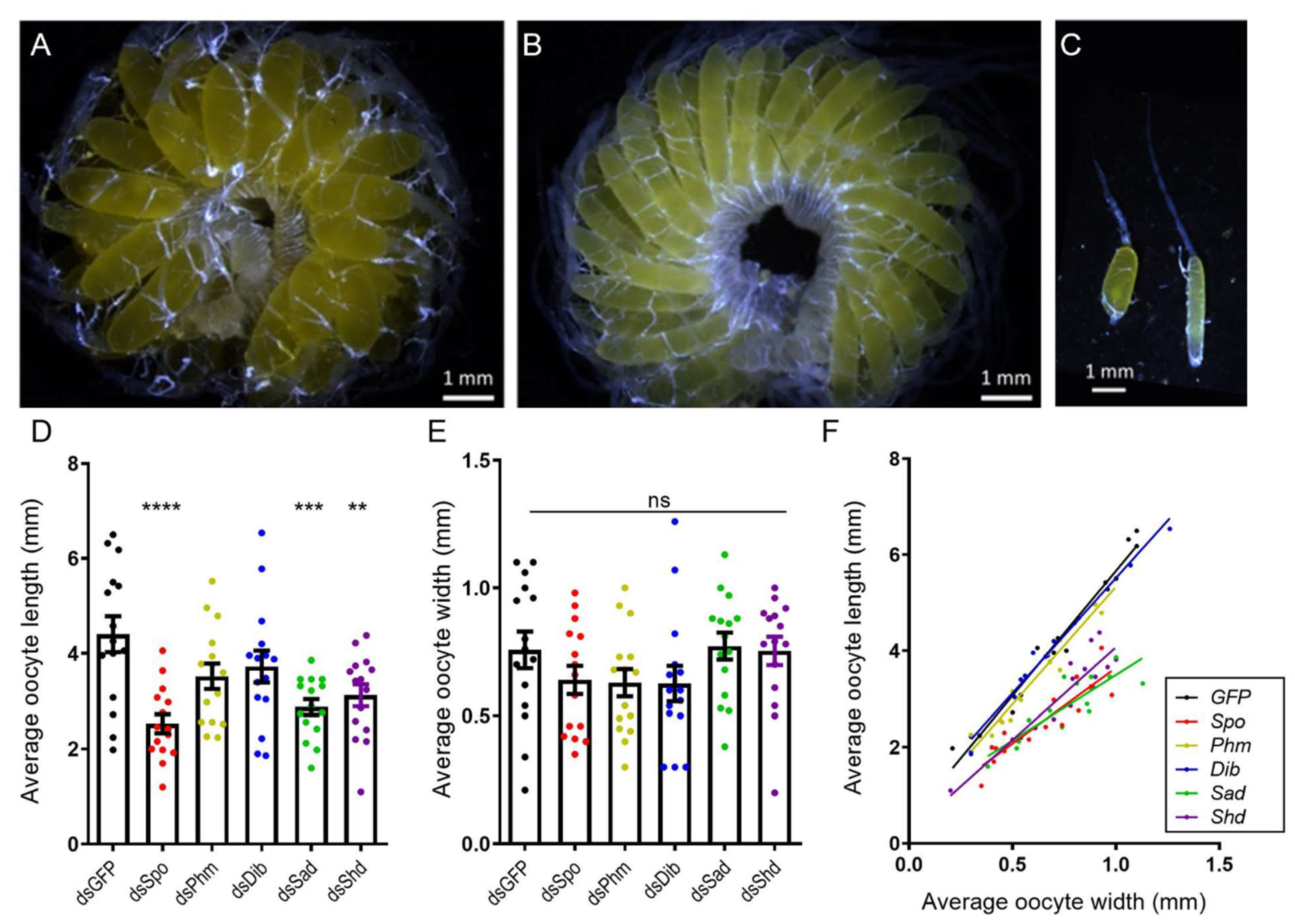 Ijms 23 09232 g002 Ijms 23 09232 g002