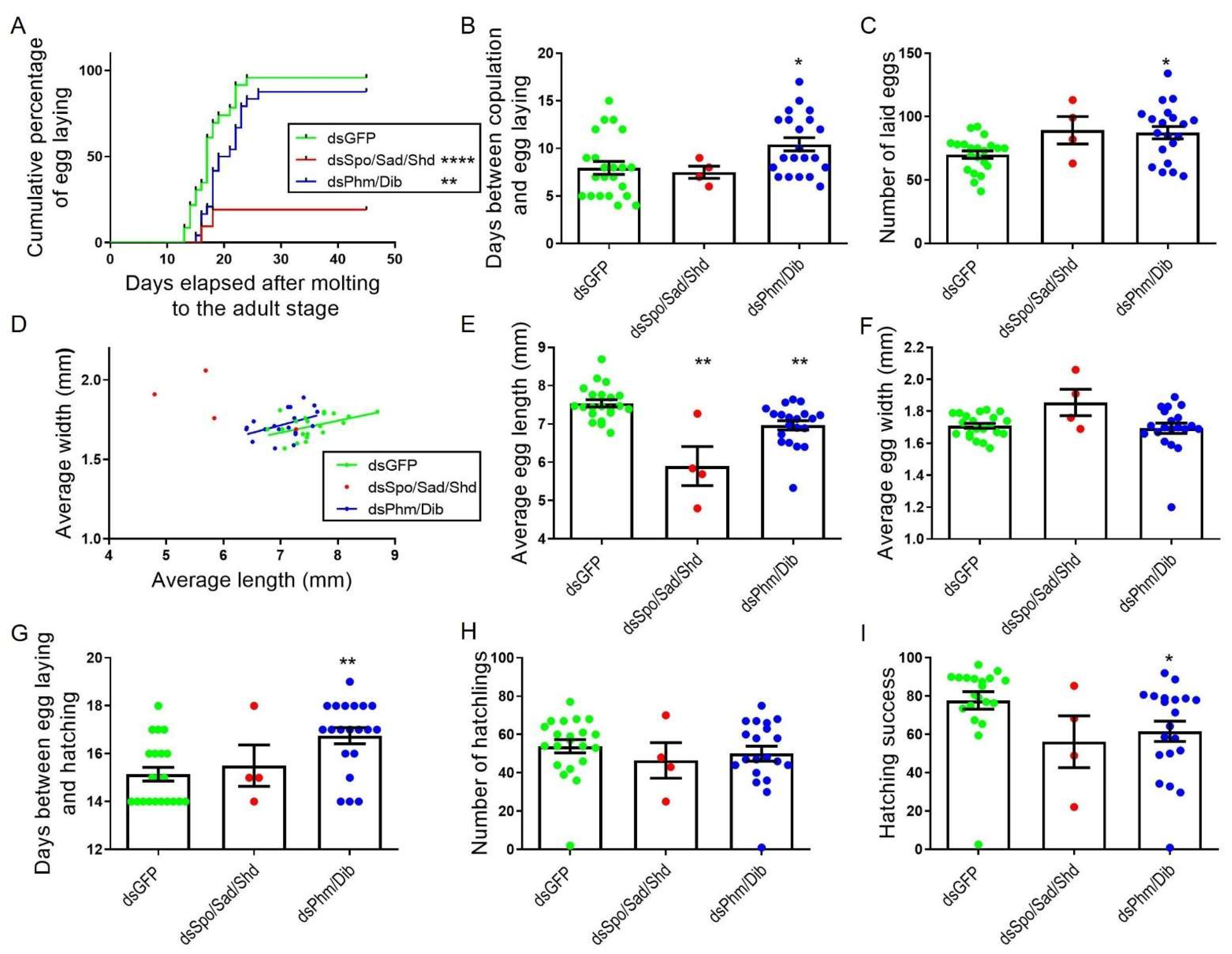 Ijms 23 09232 g005 Ijms 23 09232 g005