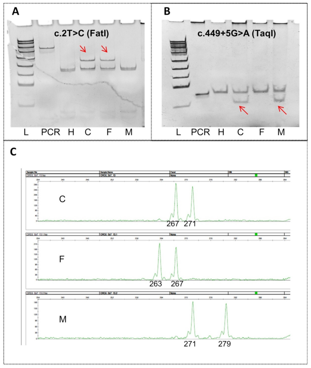 Ijms 23 09234 g003 550