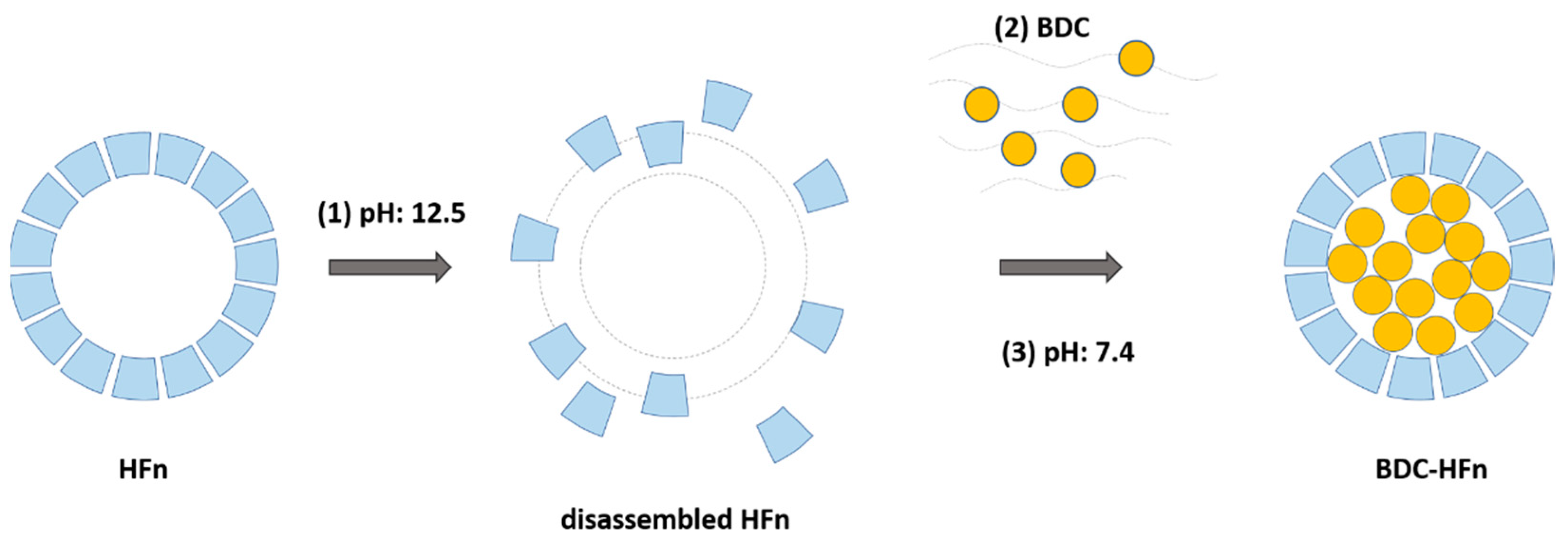 Ijms 23 09237 g001 550