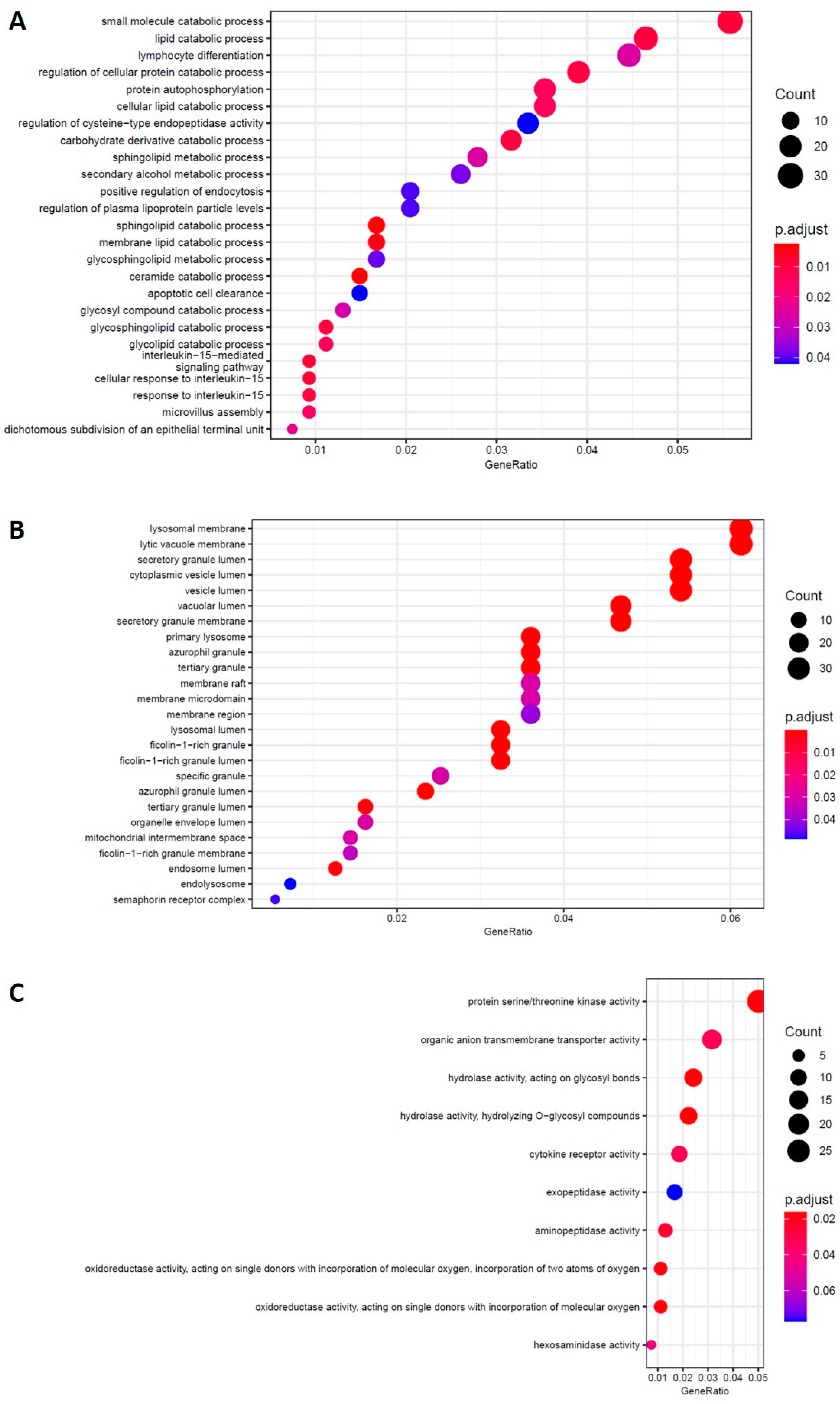 Ijms 23 09237 g007 550