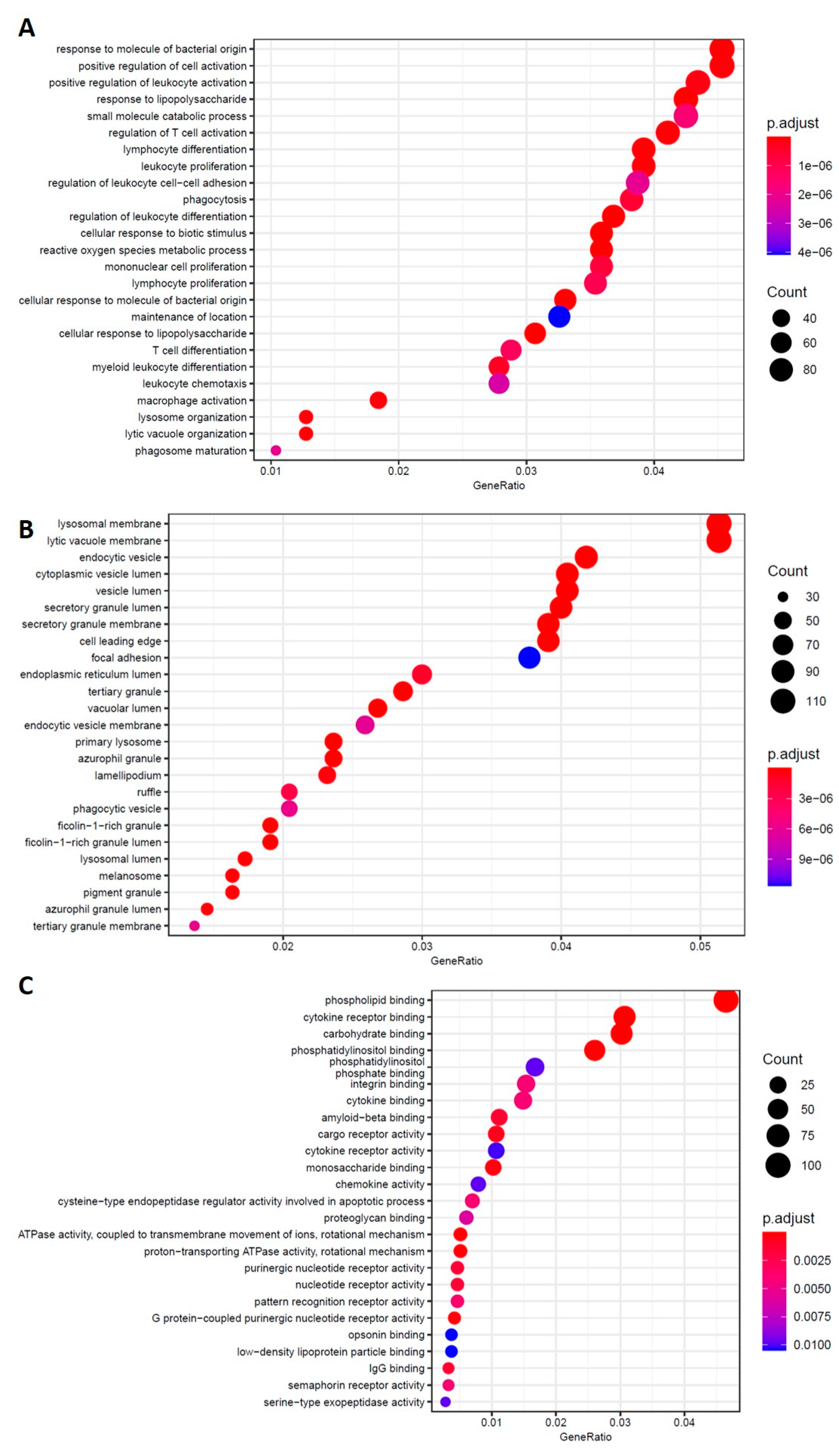 Ijms 23 09237 g008 550