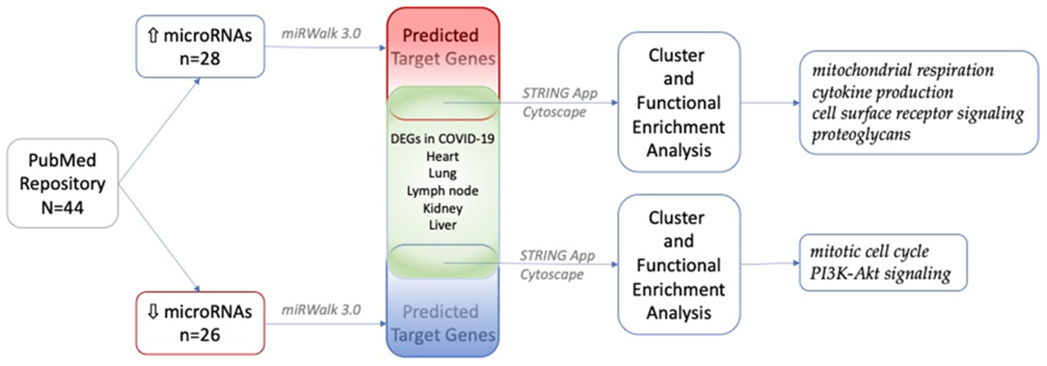 Ijms 23 09239 g001 550