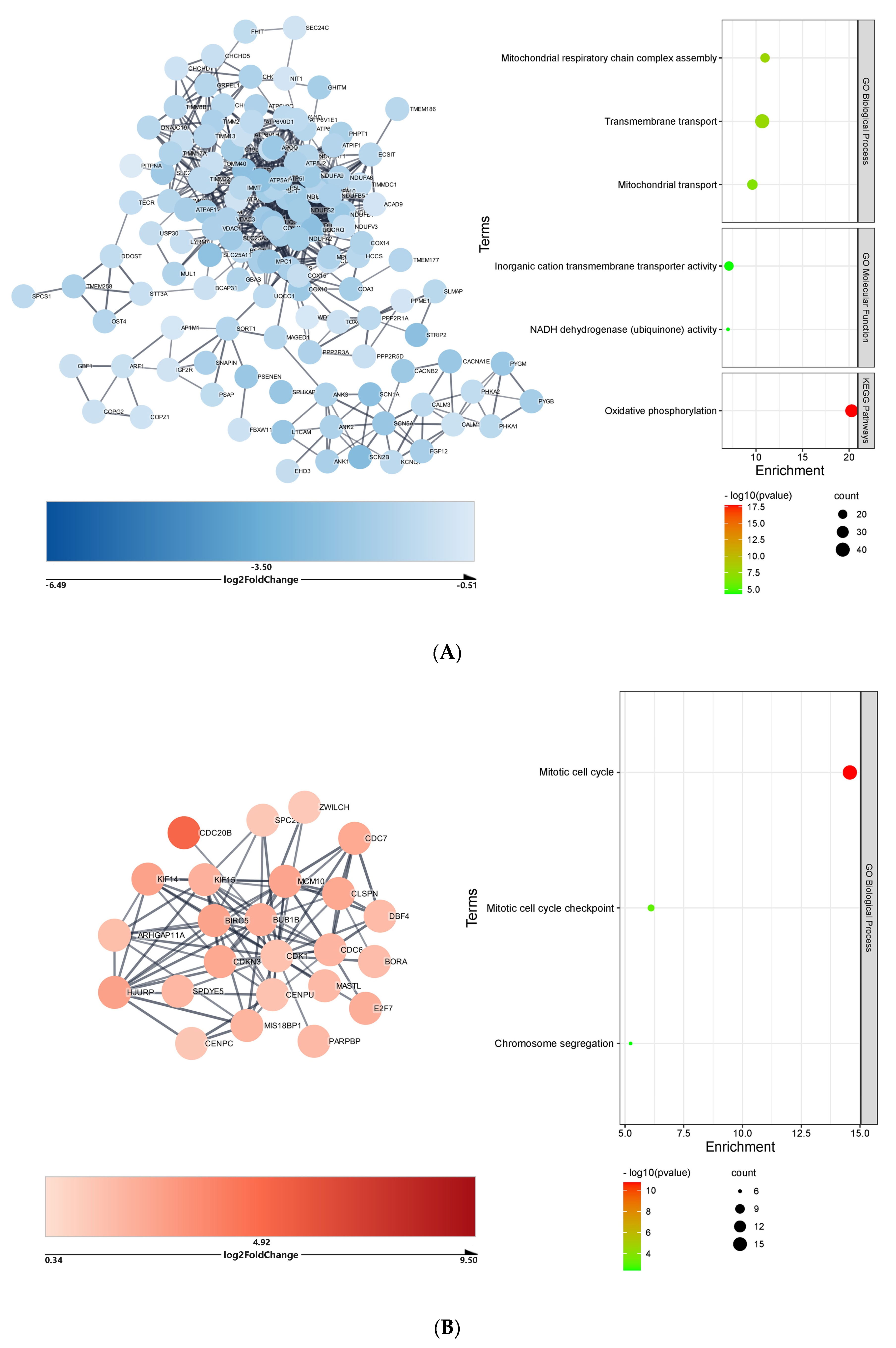 Ijms 23 09239 g002 550