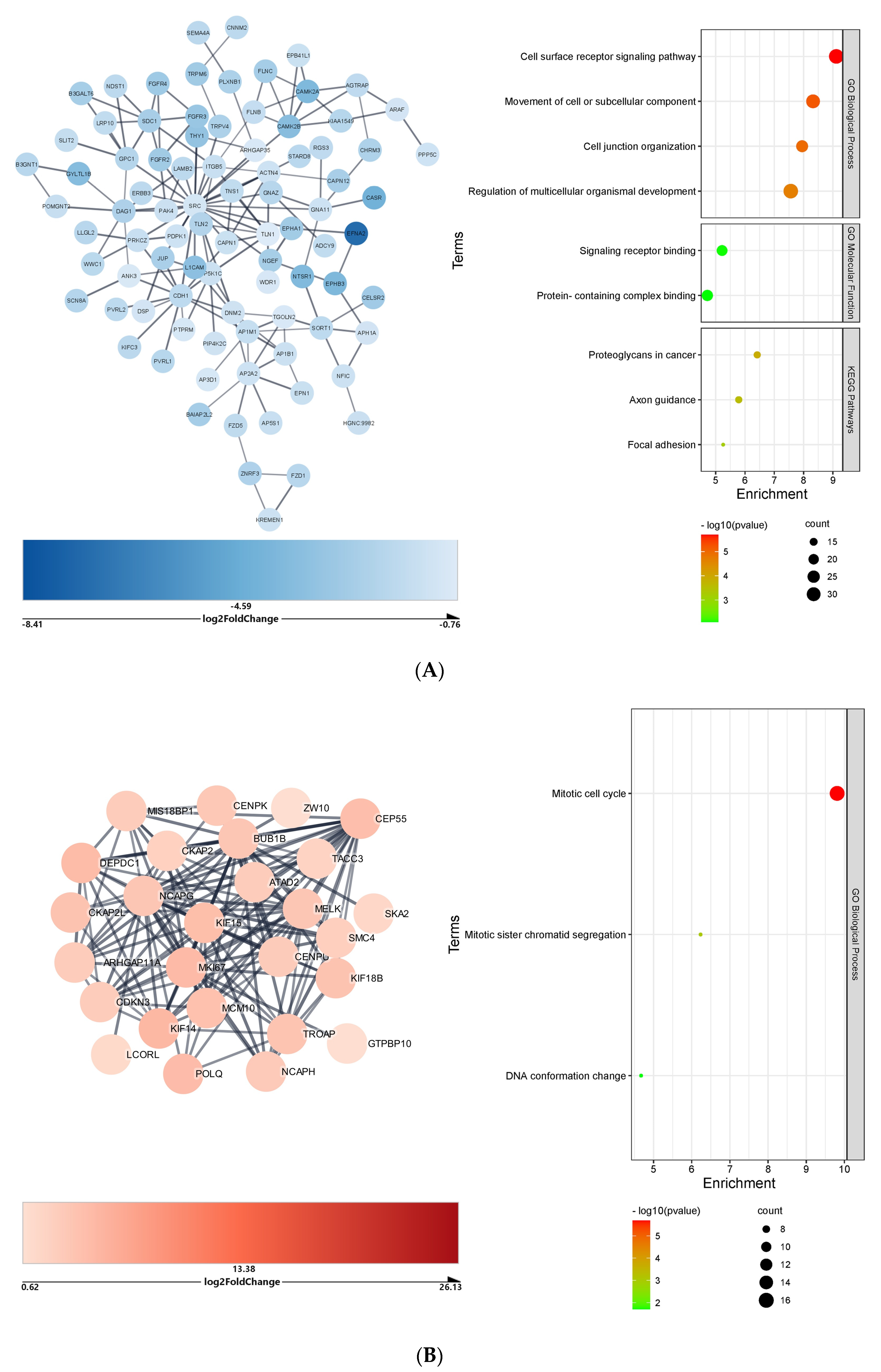 Ijms 23 09239 g005 550