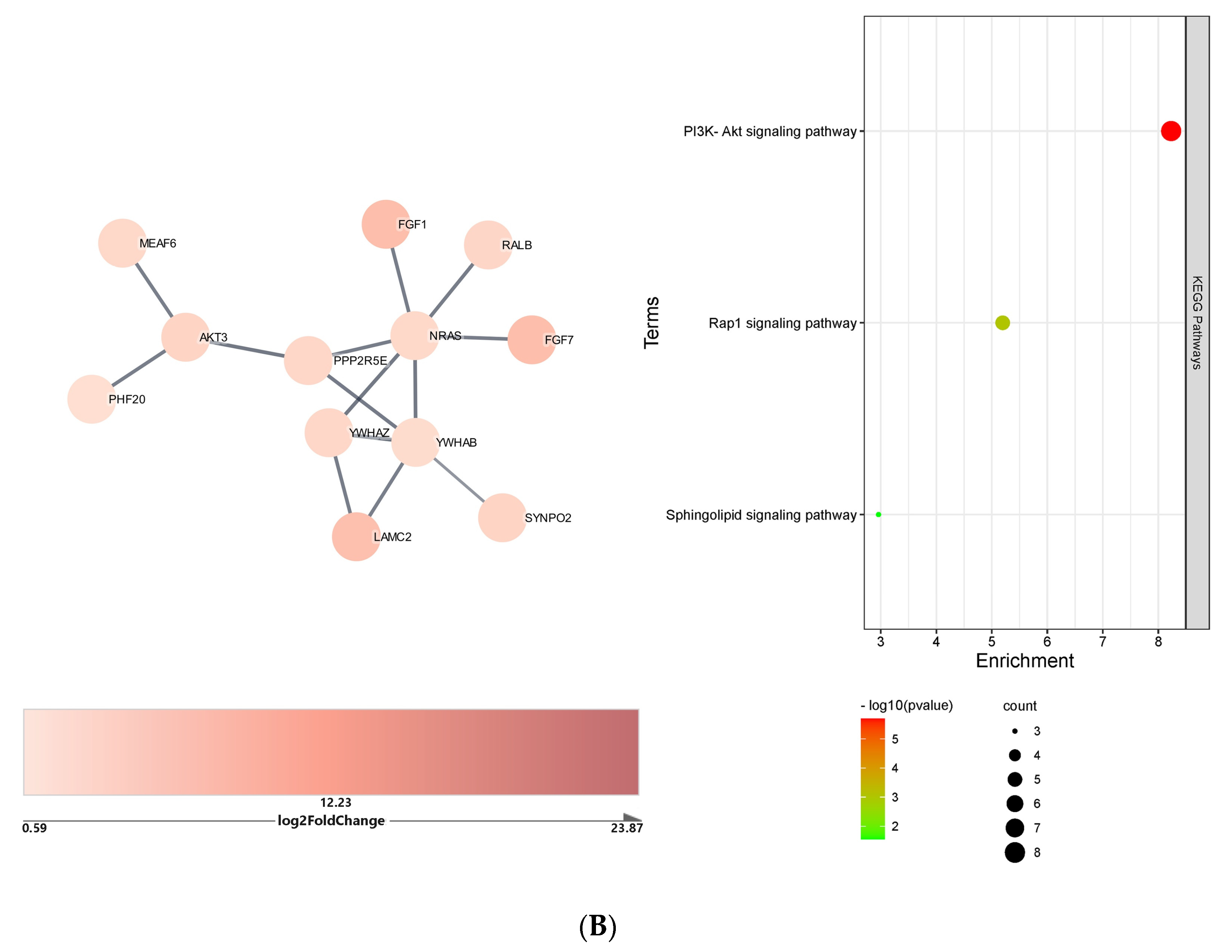Ijms 23 09239 g006b 550