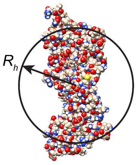 Effect of Protein–Protein Interactions on Translational