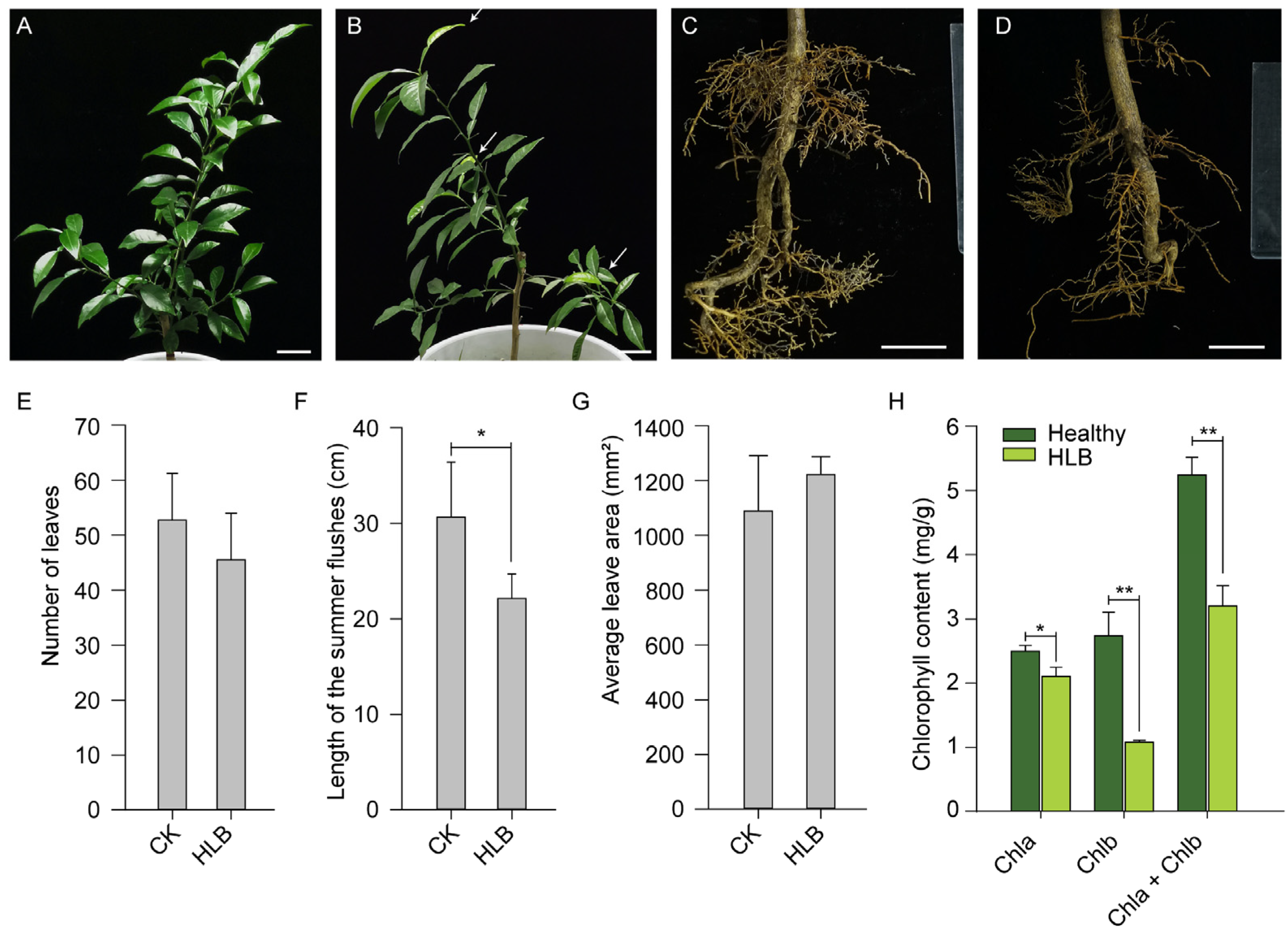 Ijms 23 09242 g001 550