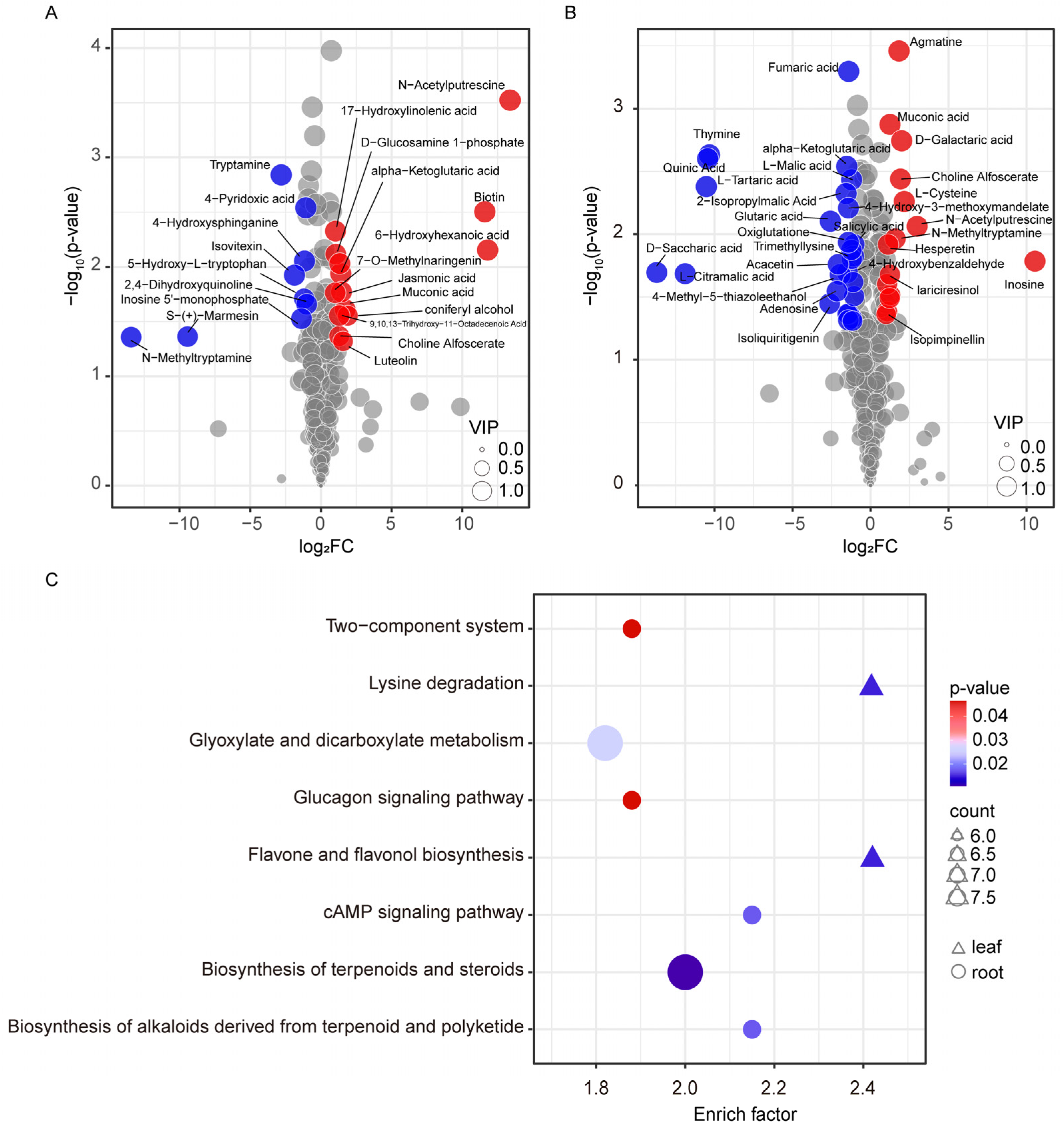 Ijms 23 09242 g006 550