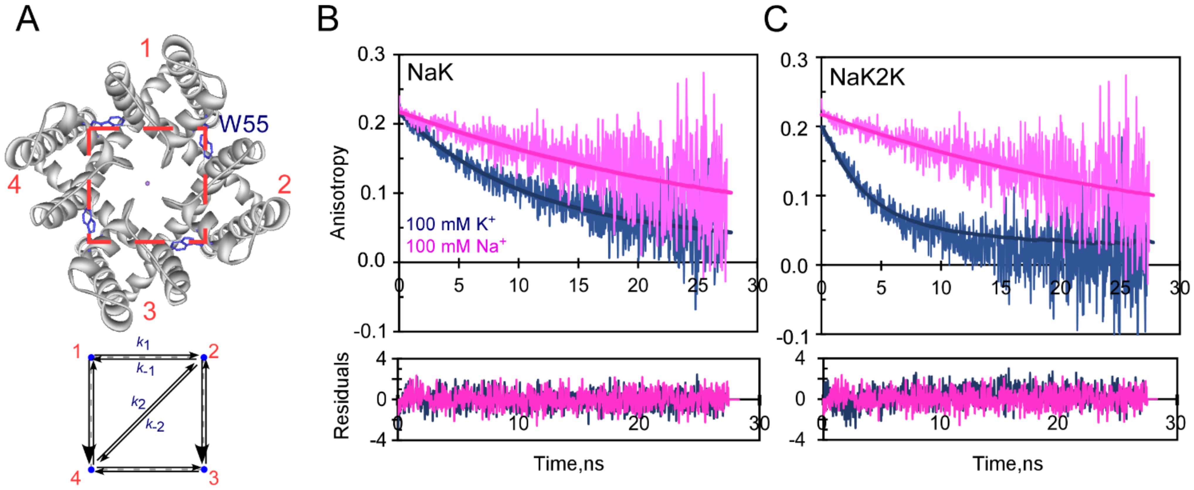 Ijms 23 09246 g003 550