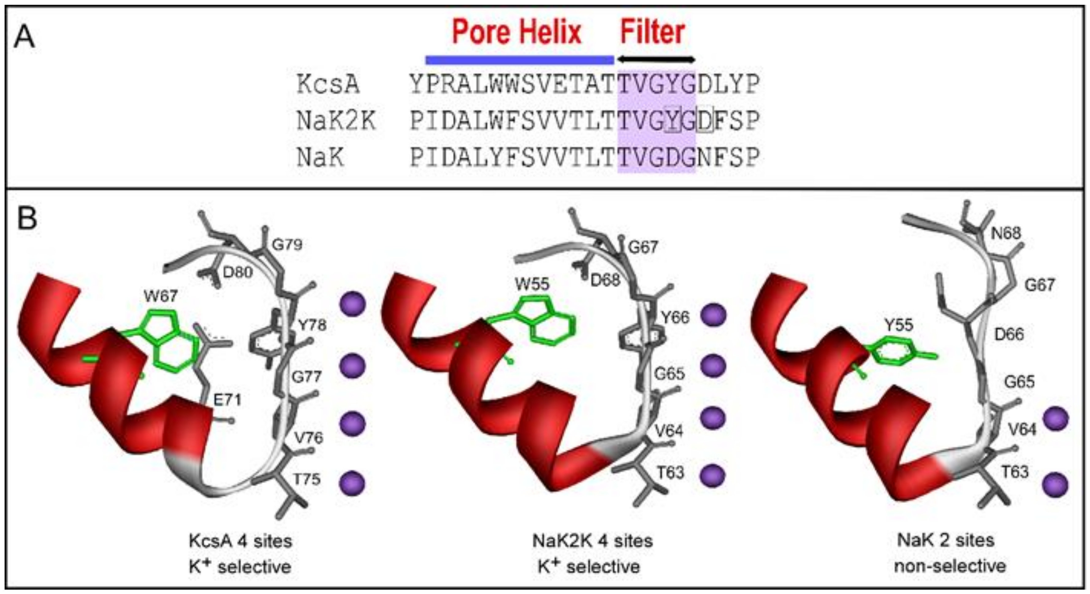 Ijms 23 09246 sch001 550