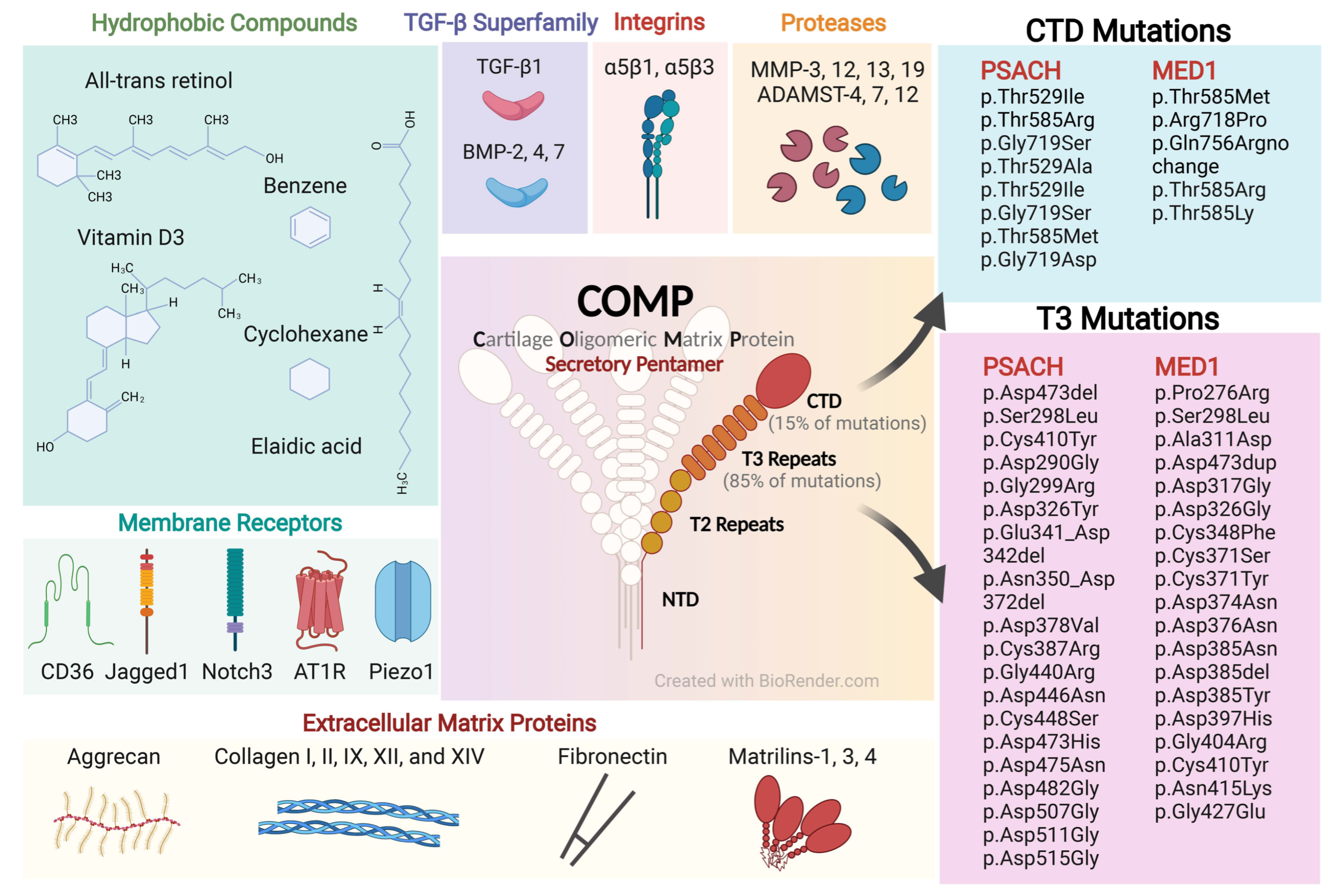 Ijms 23 09253 g001 Ijms 23 09253 g001