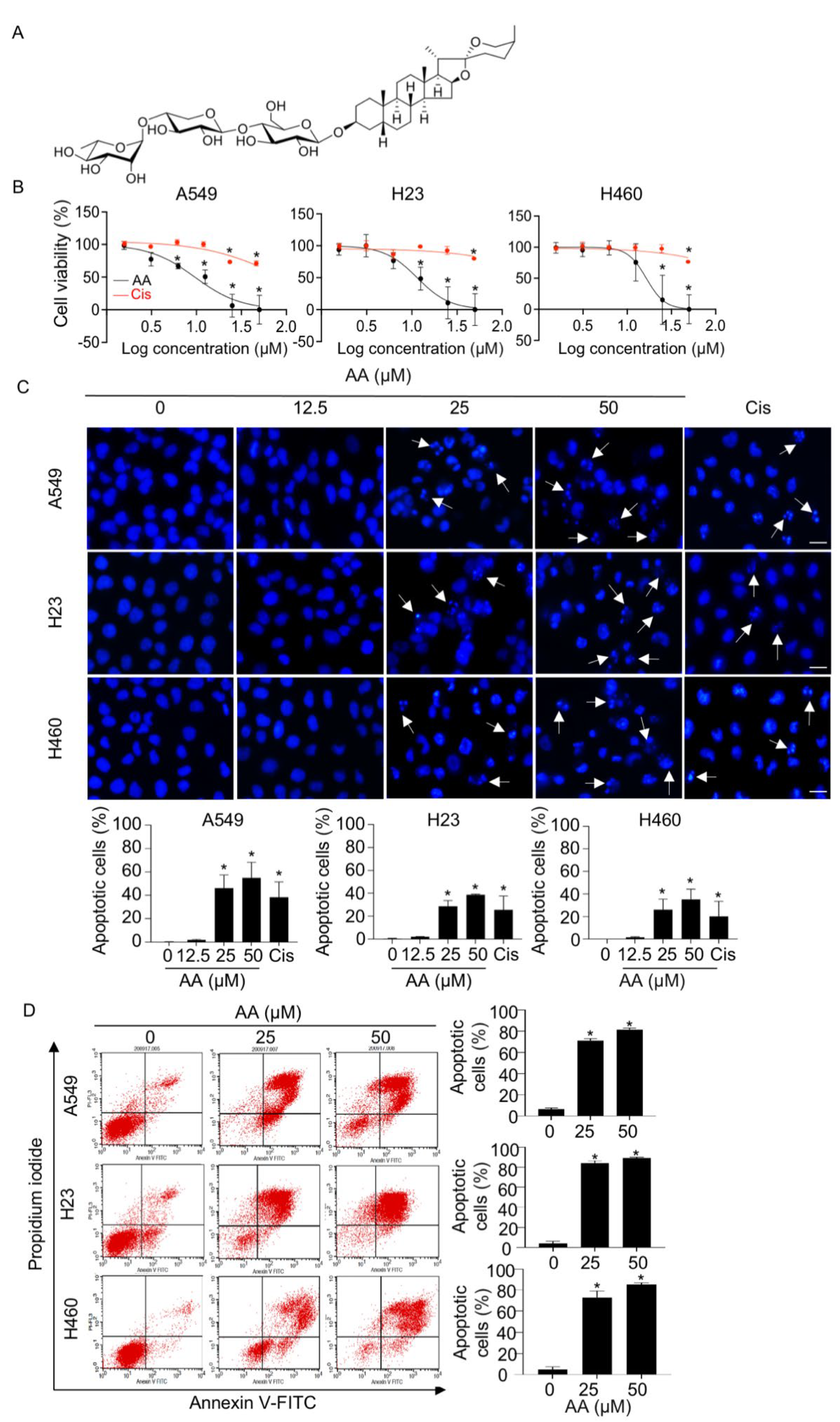 Ijms 23 09258 g001 550