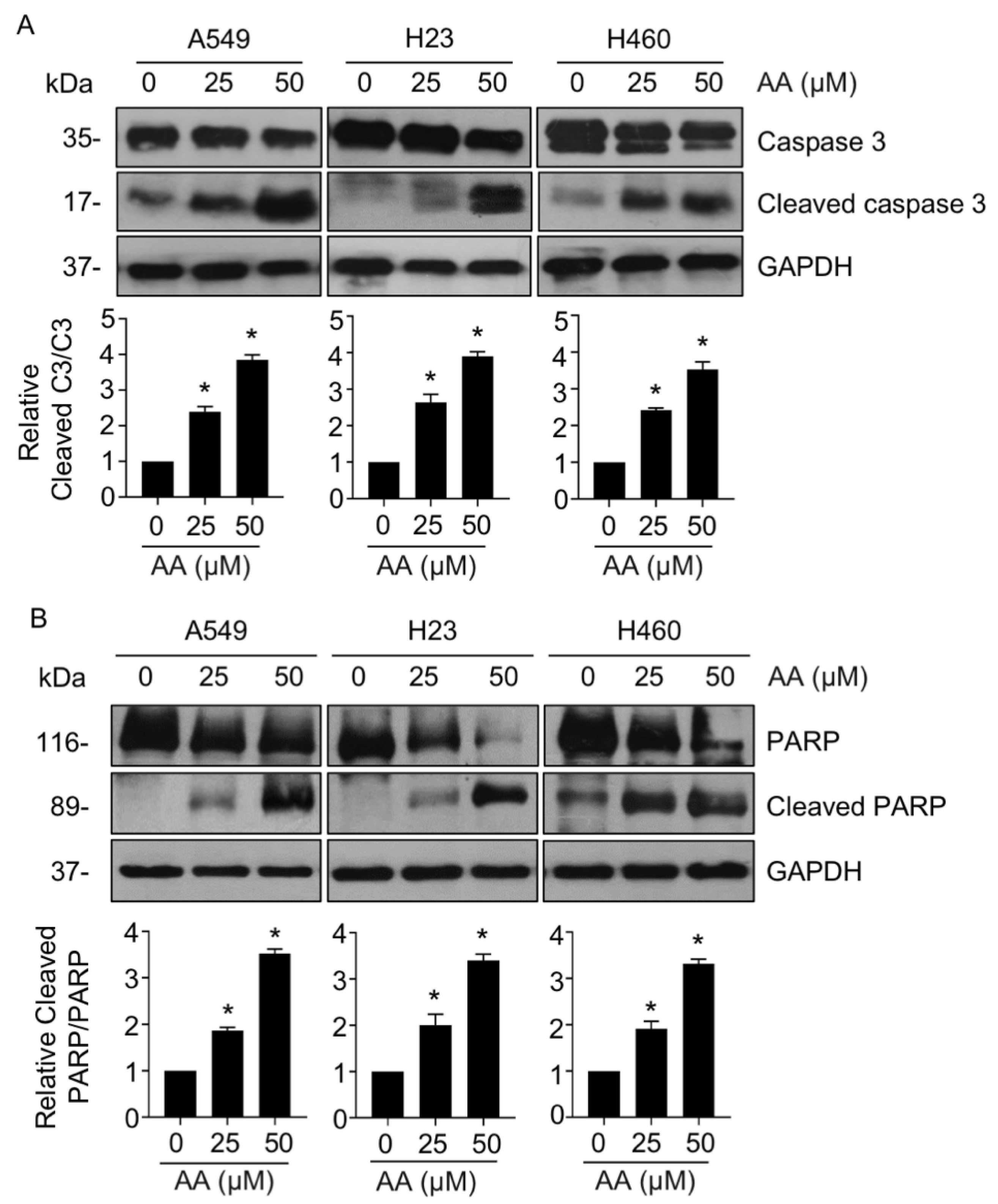 Ijms 23 09258 g002 550