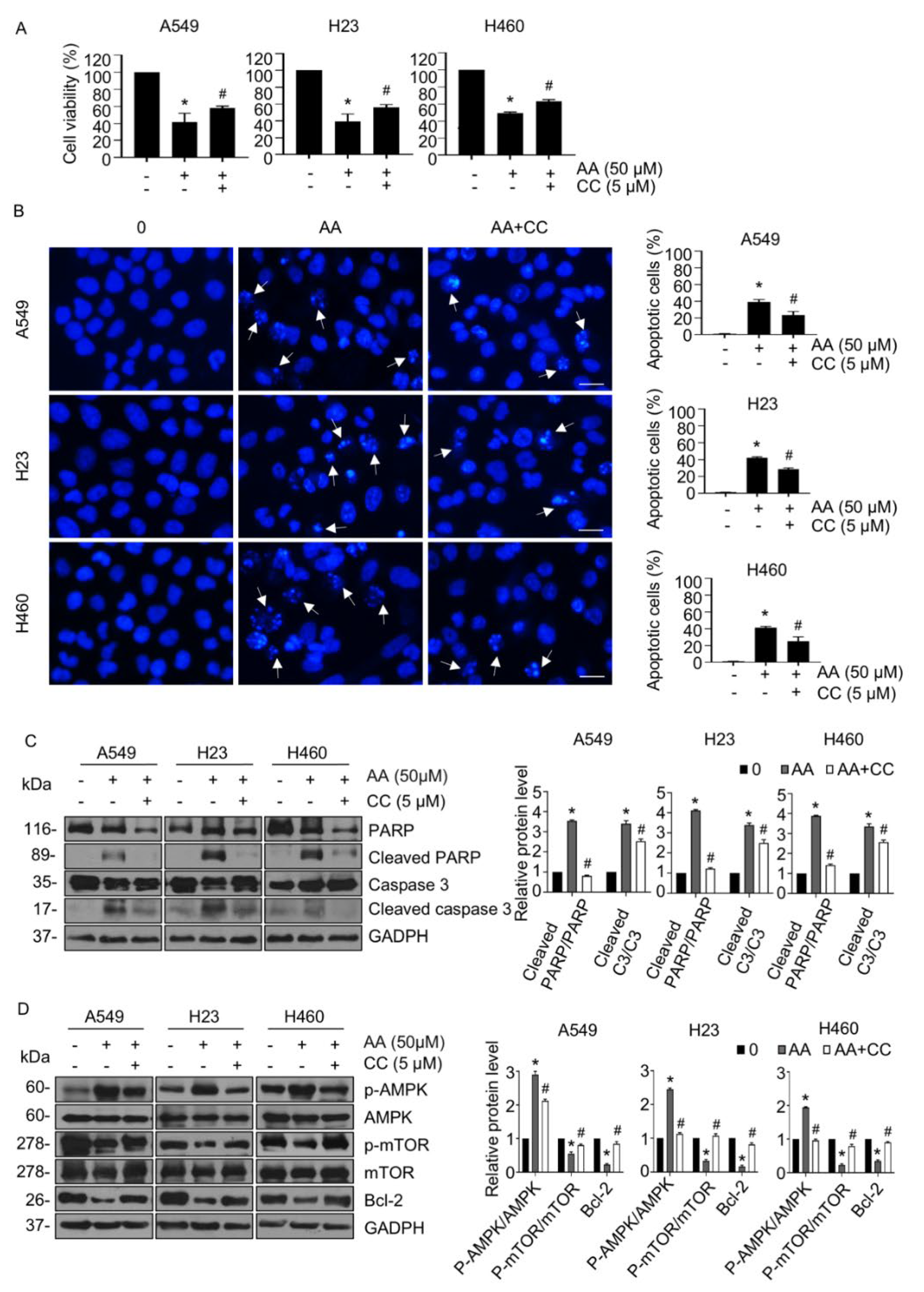 Ijms 23 09258 g005 550