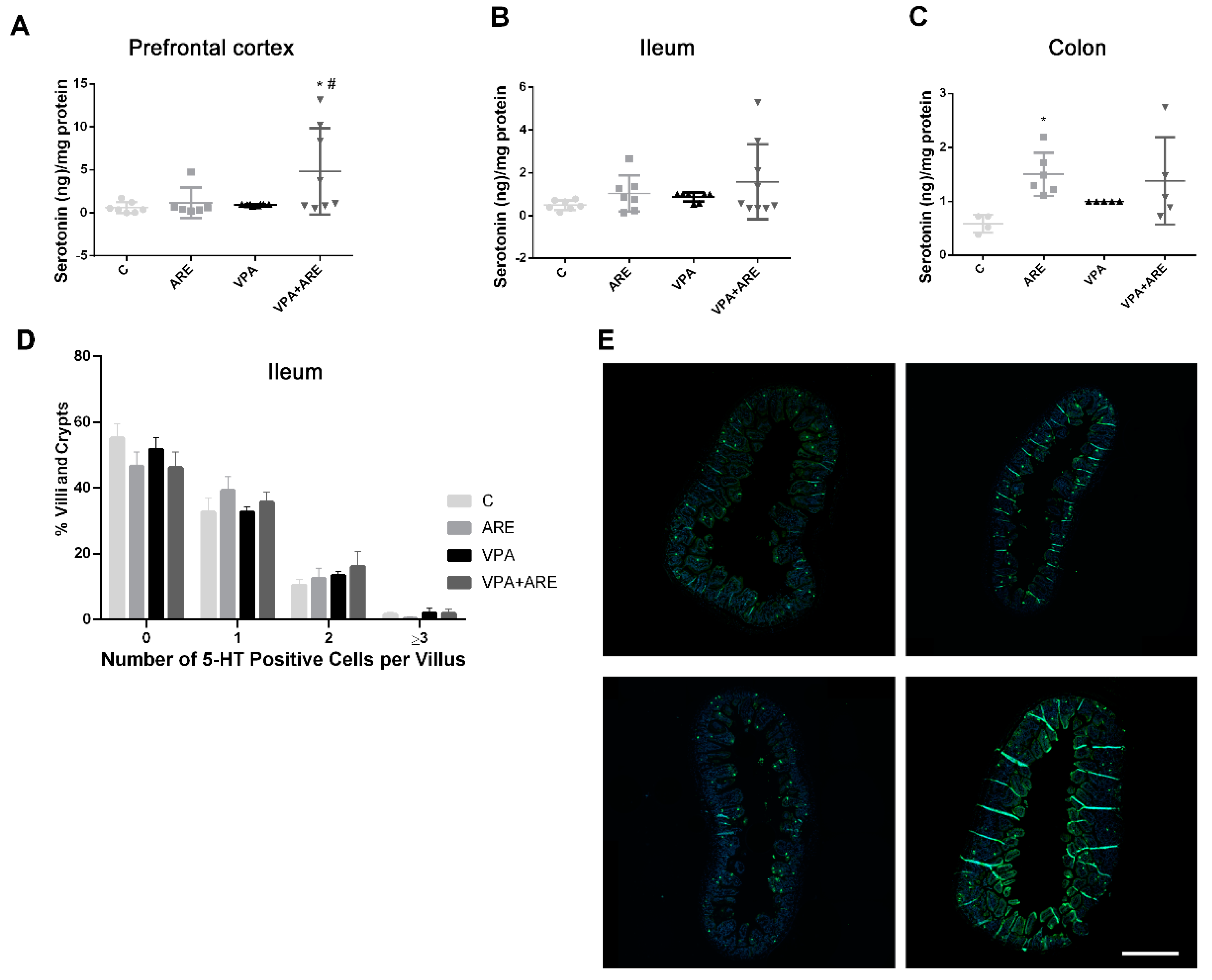 Ijms 23 09259 g006 550