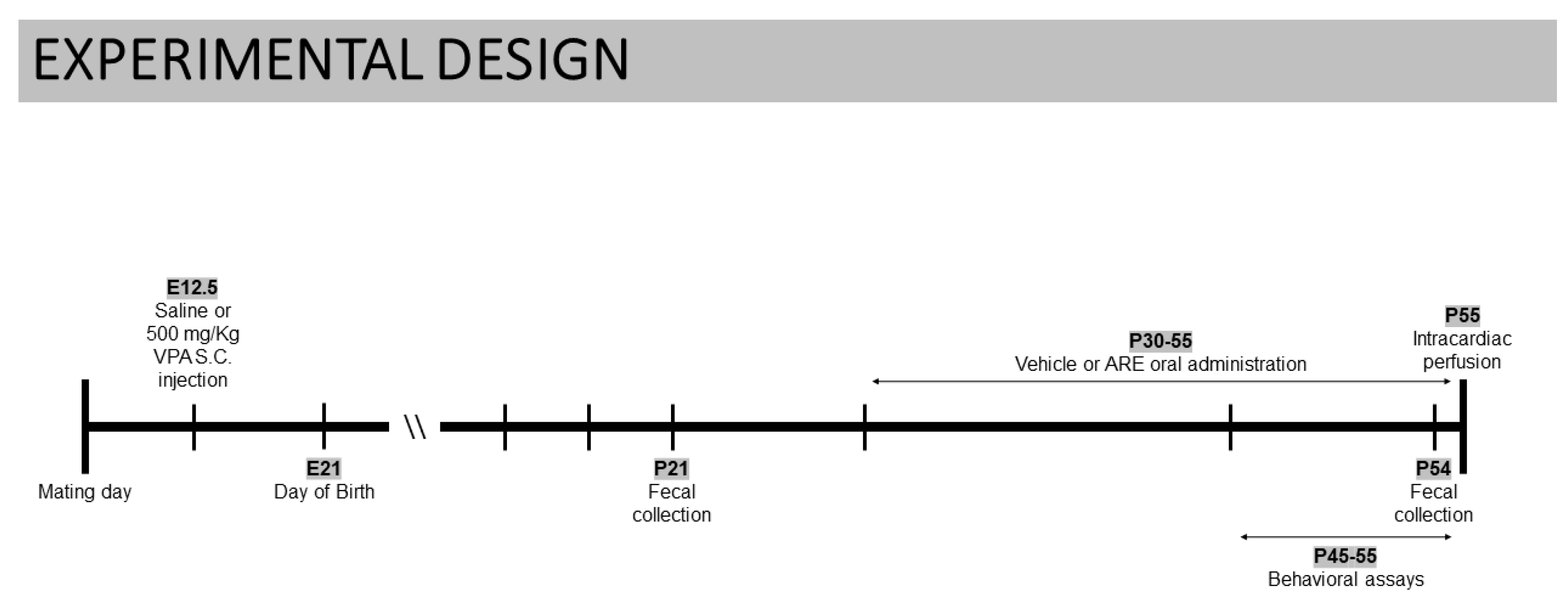 Ijms 23 09259 g008 550