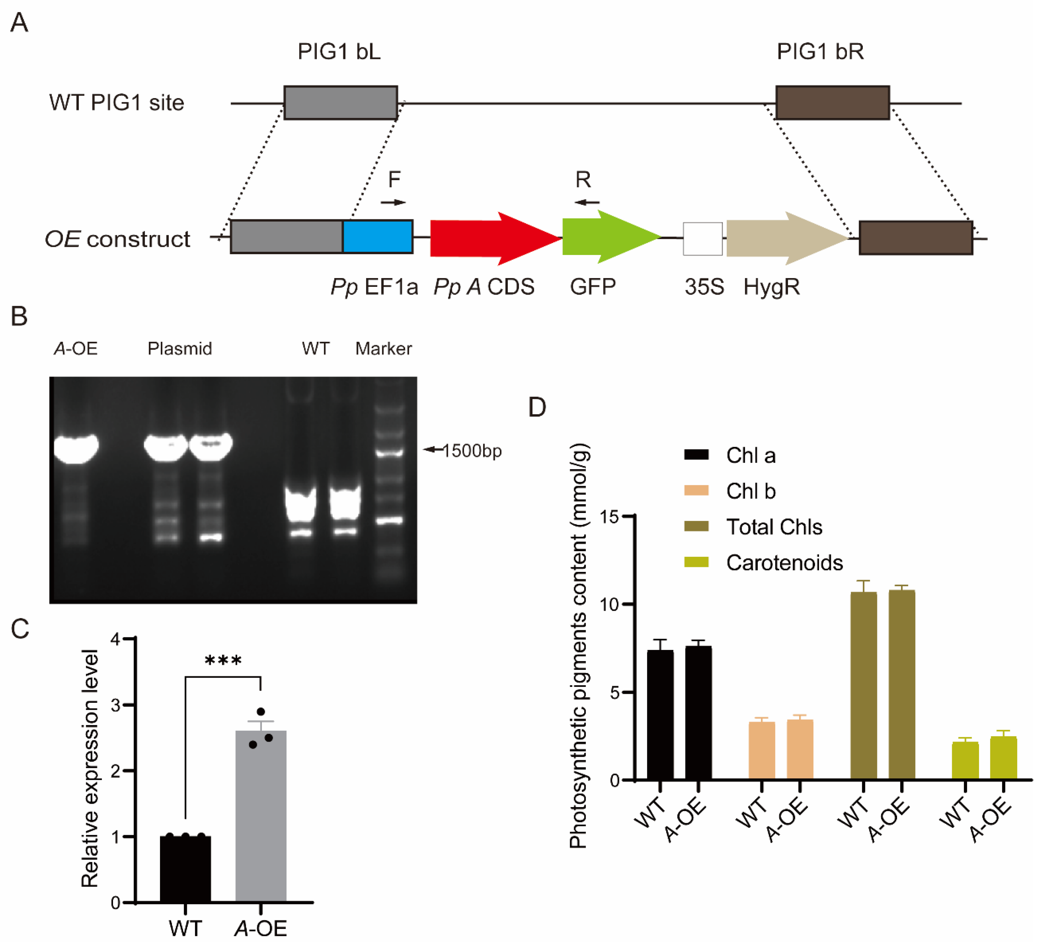 Ijms 23 09270 g003 550
